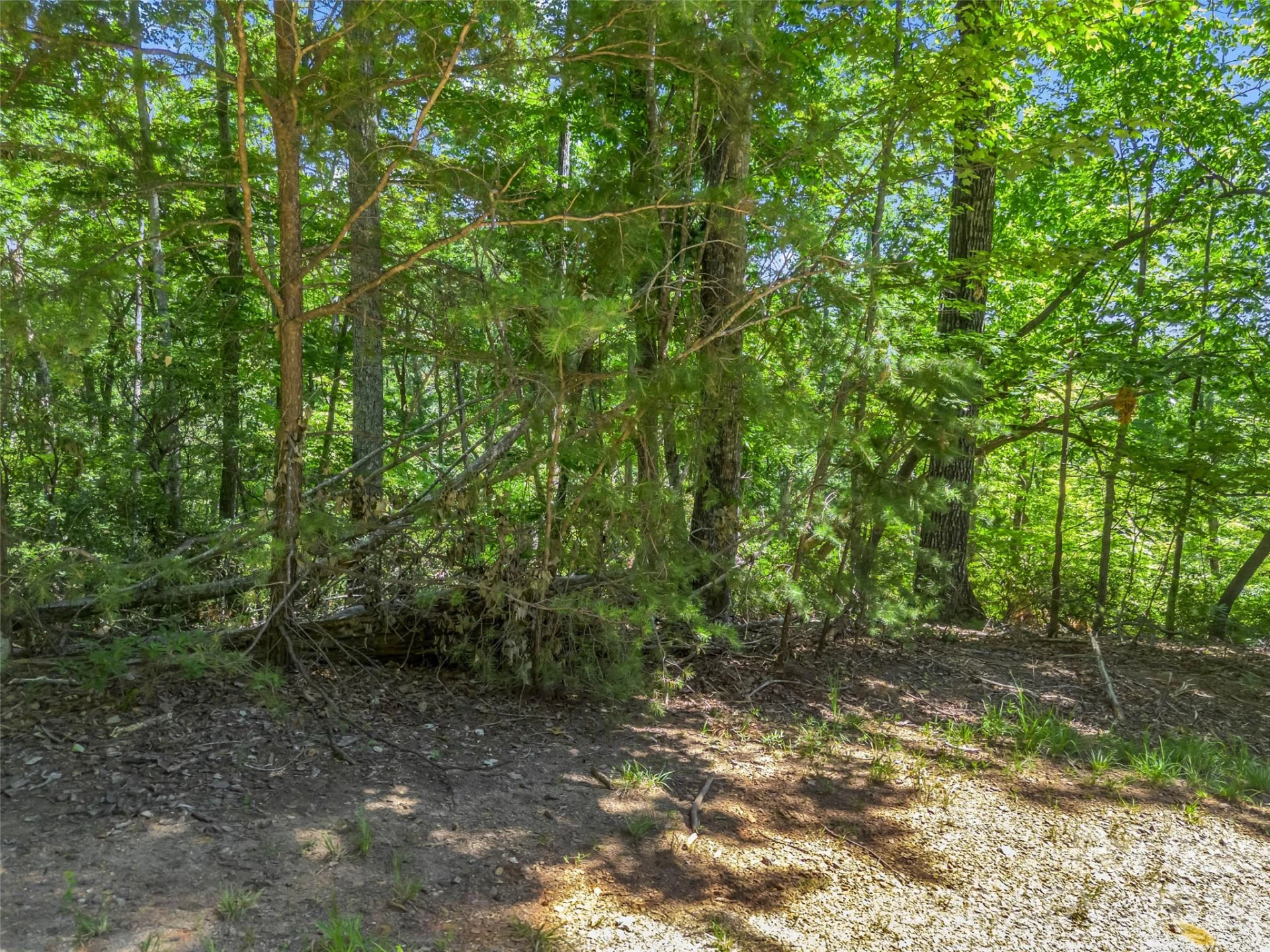 0 Hawks Nest Trail #31 - Photo 25
