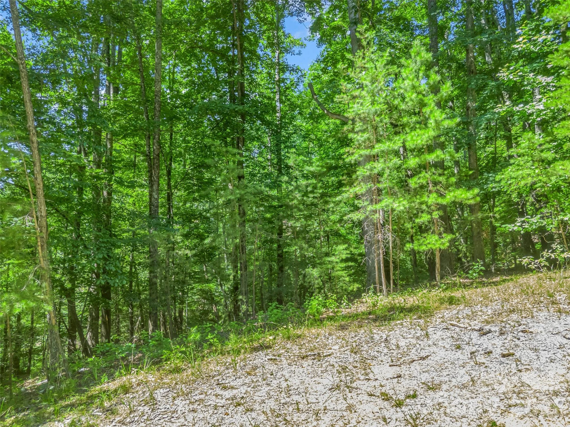 0 Hawks Nest Trail #31 - Photo 27