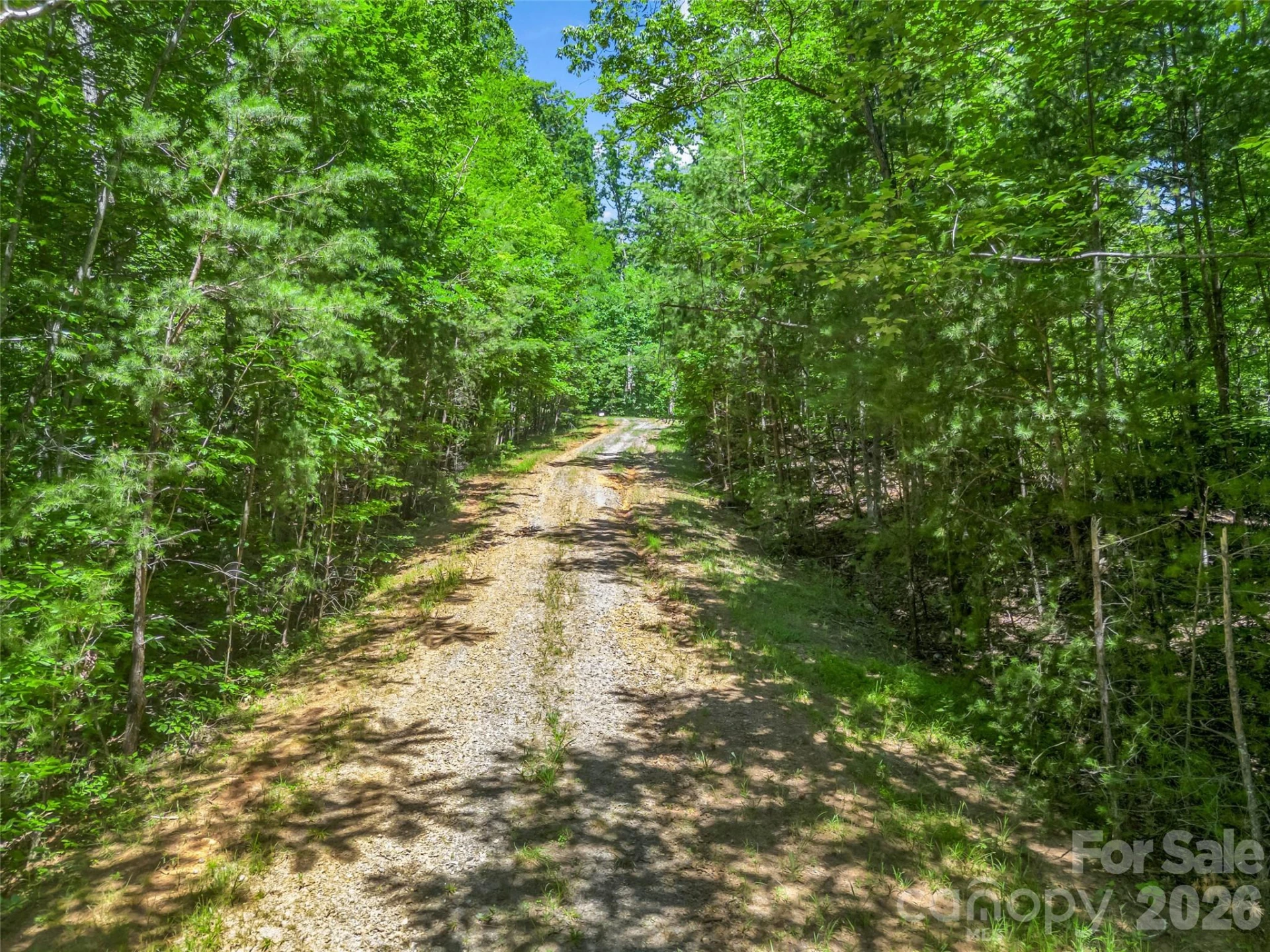 0 Hawks Nest Trail #31 - Photo 29