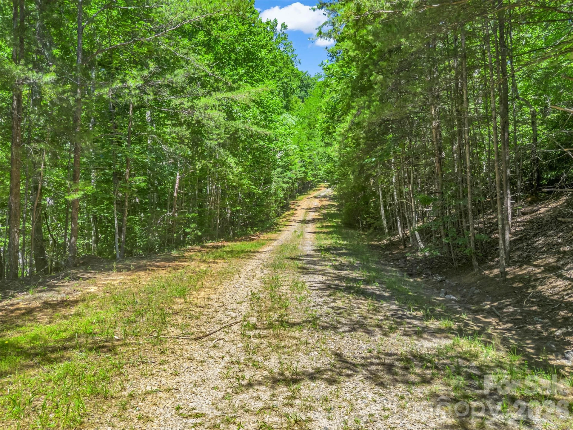 0 Hawks Nest Trail #31 - Photo 30