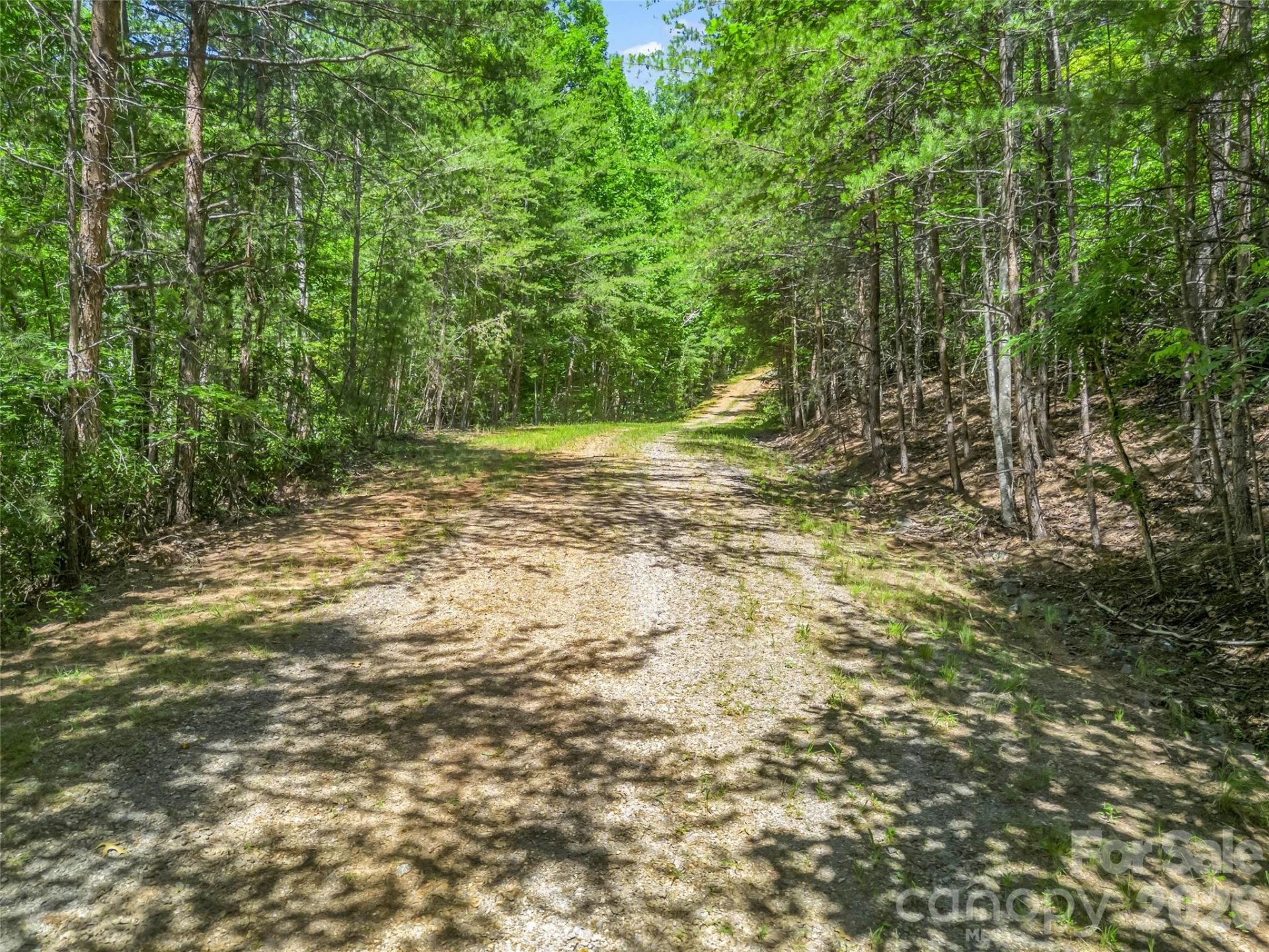 0 Hawks Nest Trail #31 - Photo 31