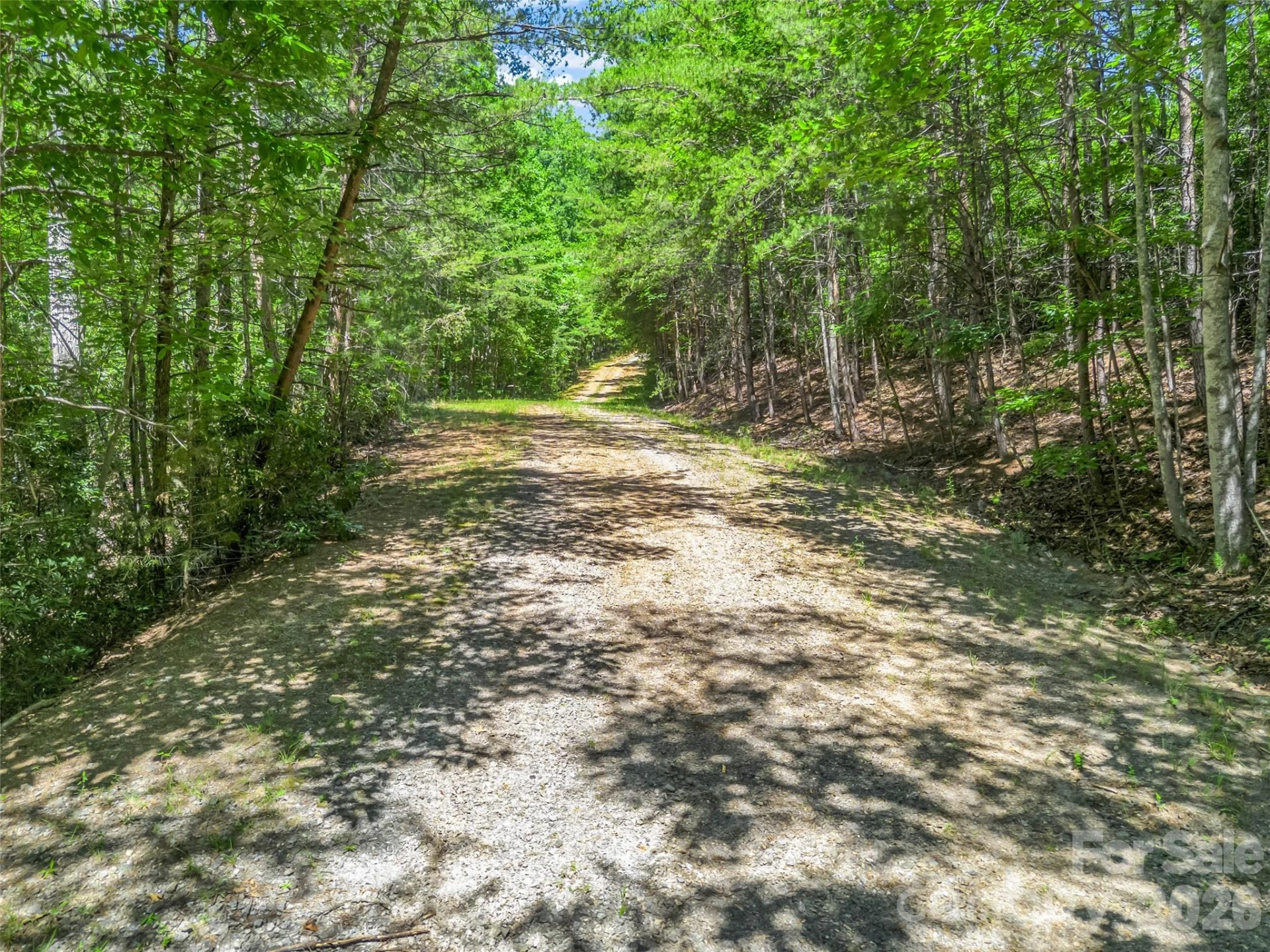 0 Hawks Nest Trail #31 - Photo 32