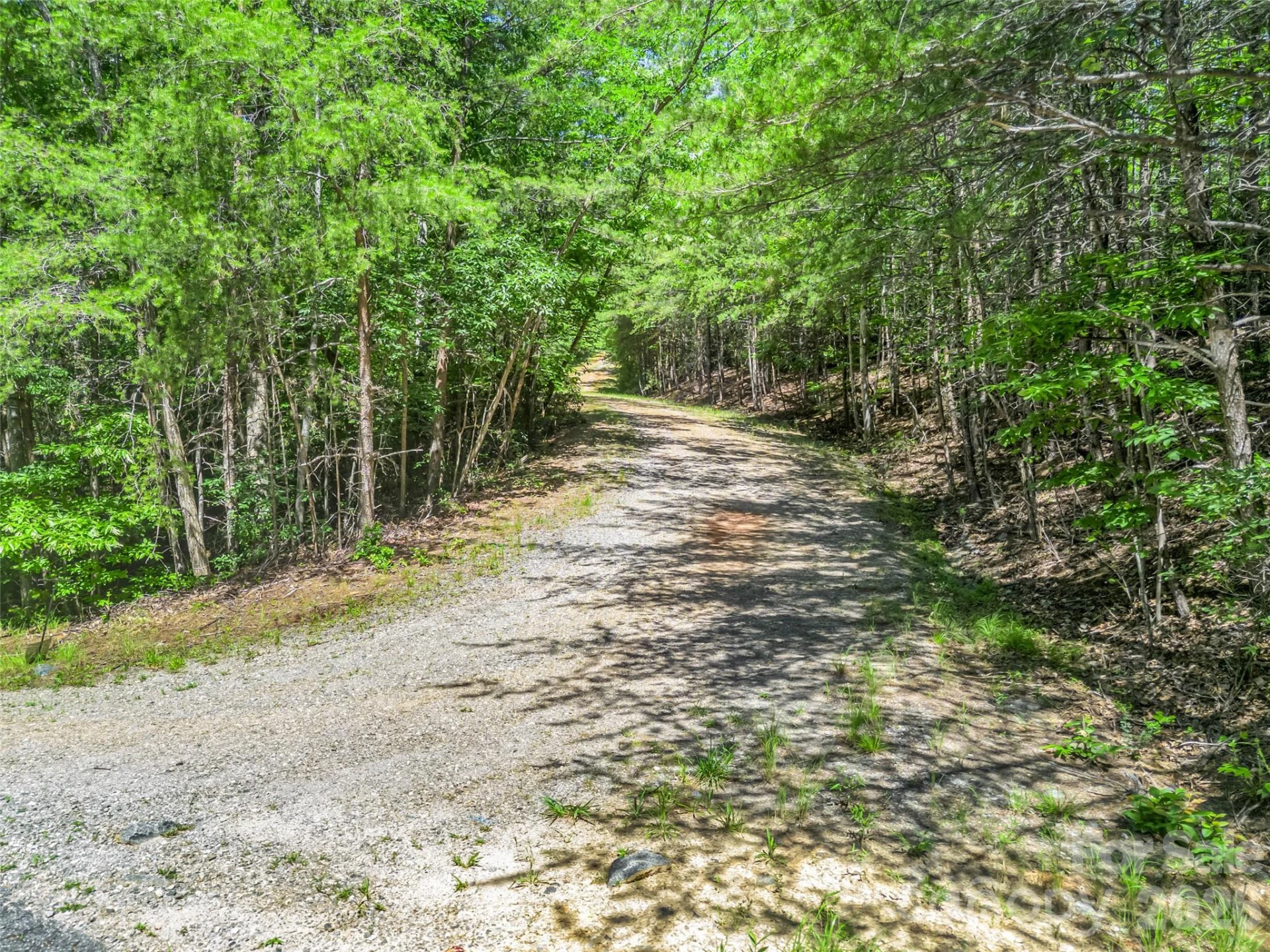 0 Hawks Nest Trail #31 - Photo 33
