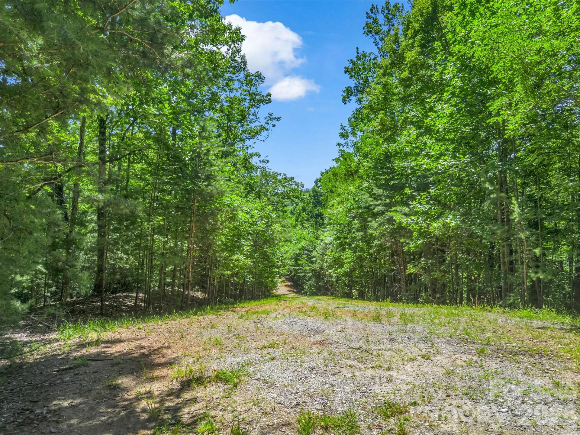 0 Hawks Nest Trail #31 - Photo 5