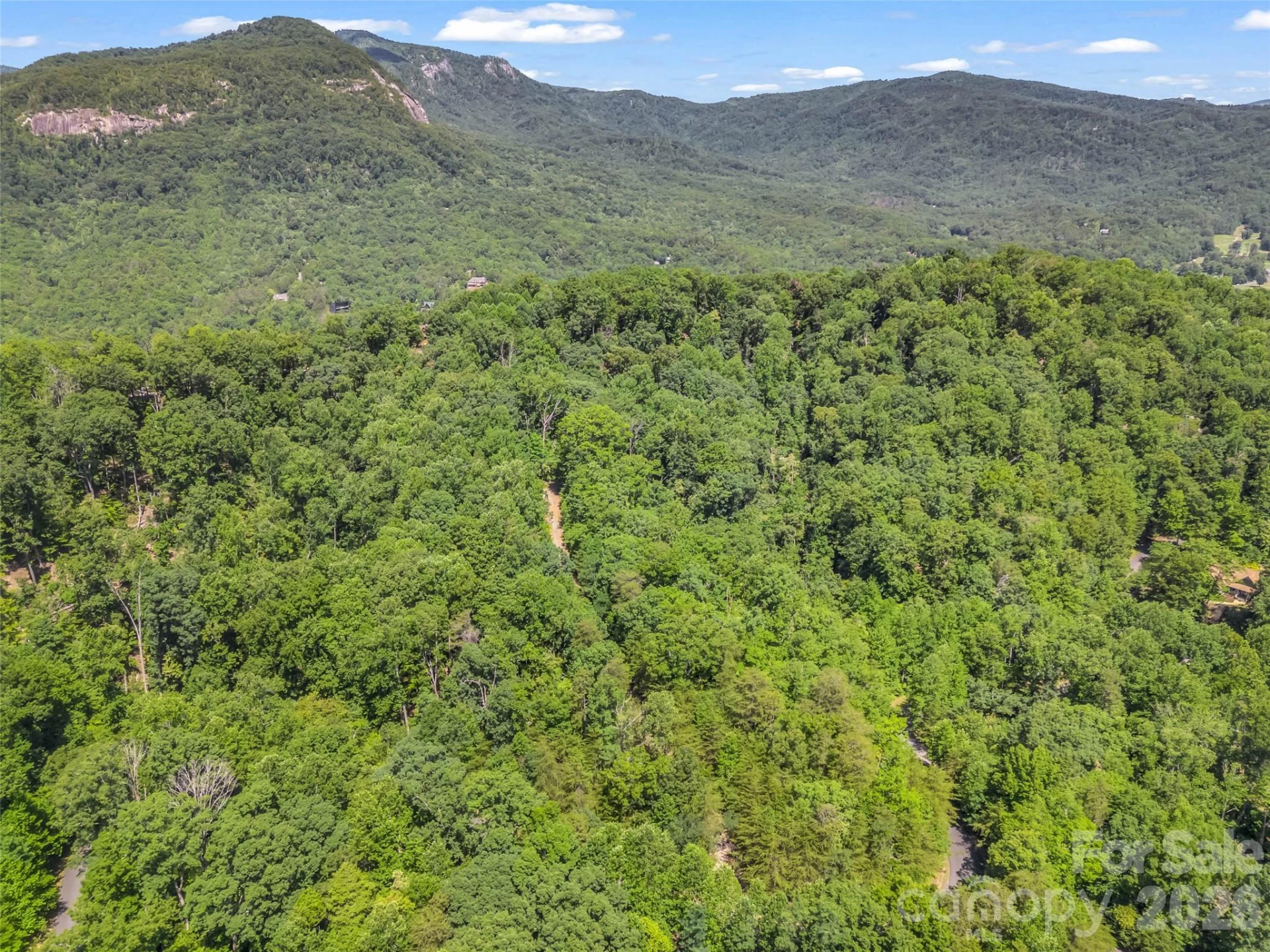 0 Hawks Nest Trail #31 - Photo 10