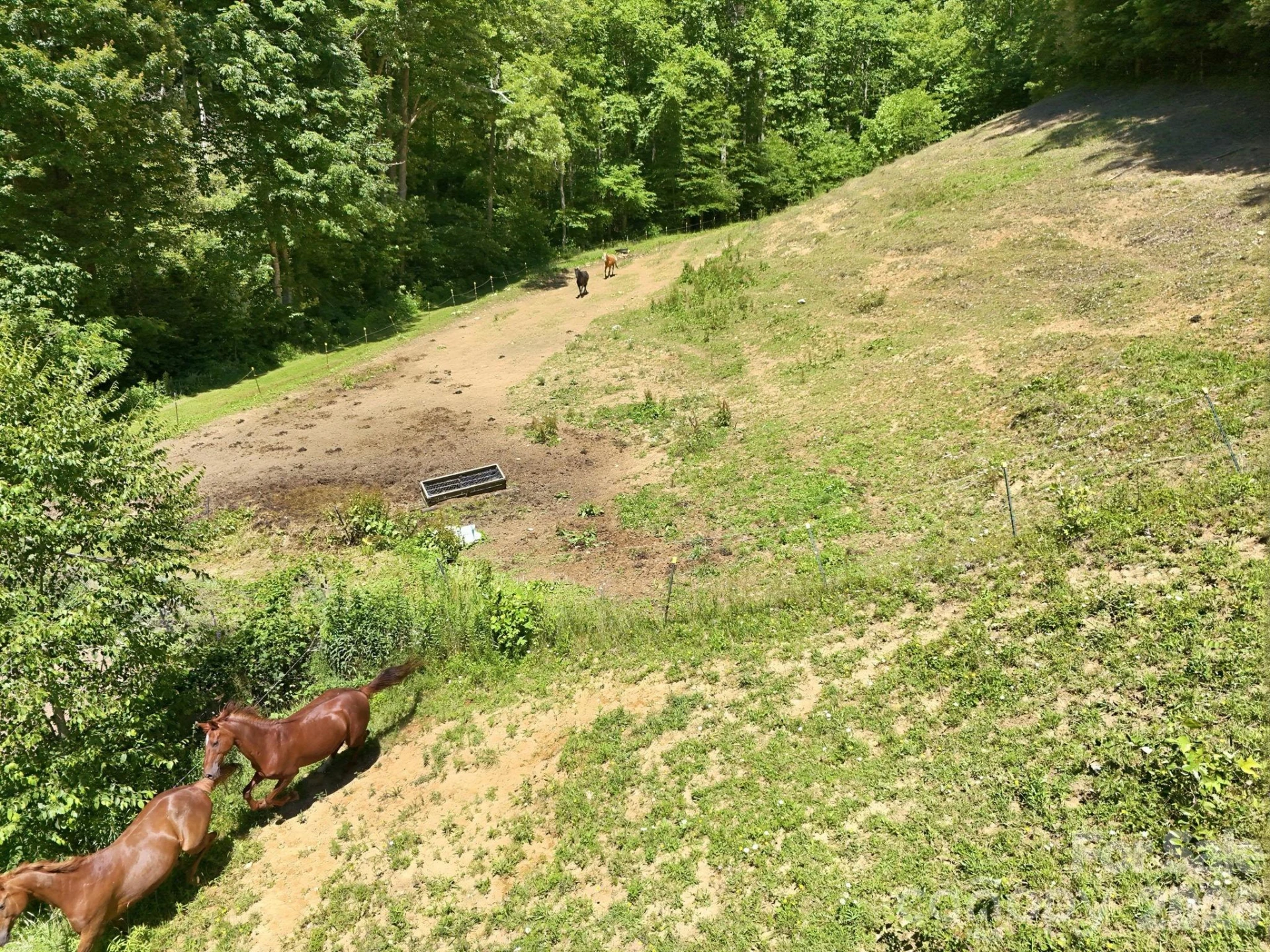 1005 Smith Creek Road - Photo 15