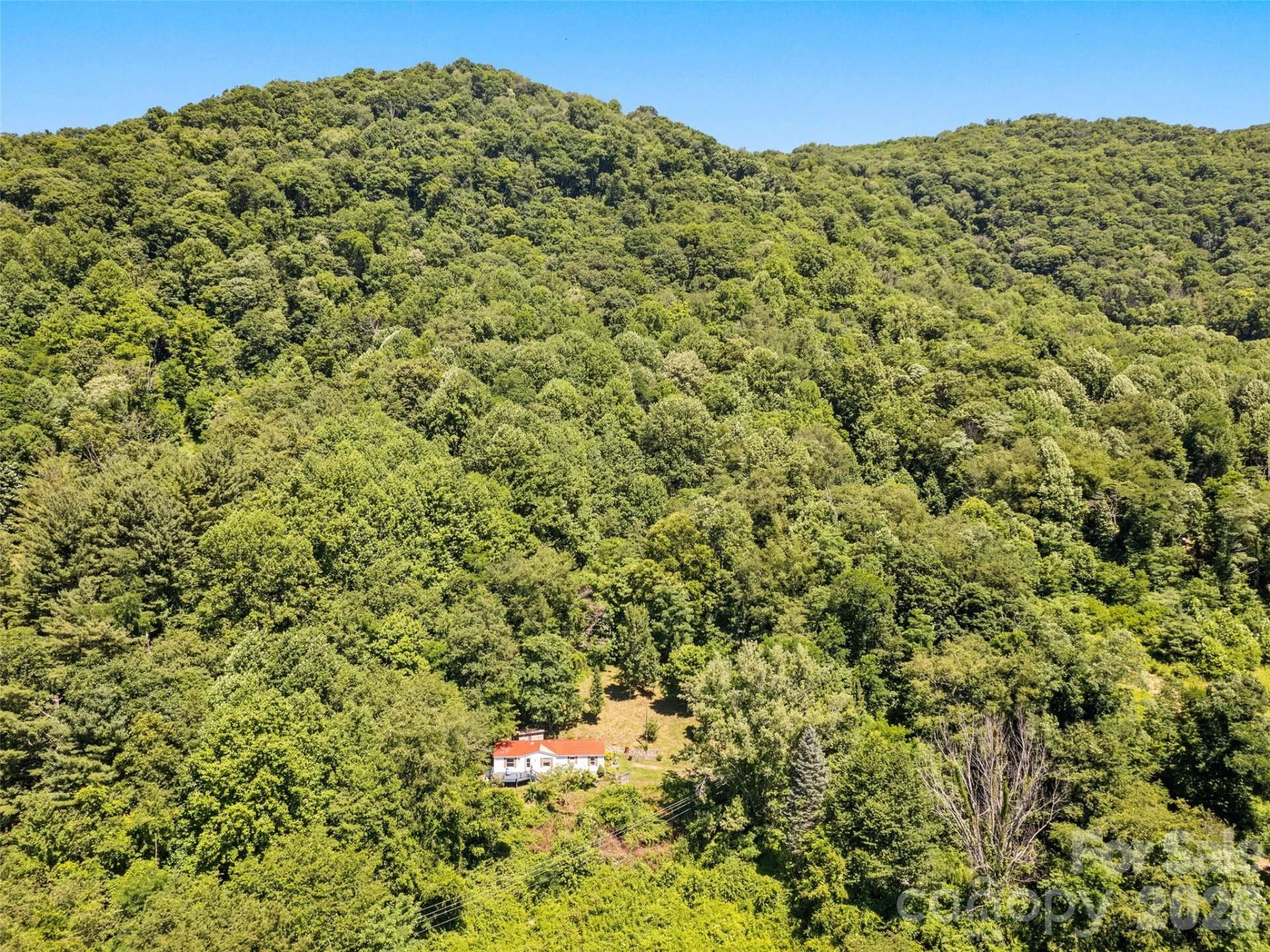 115 Slick Rock Ridge - Photo 15