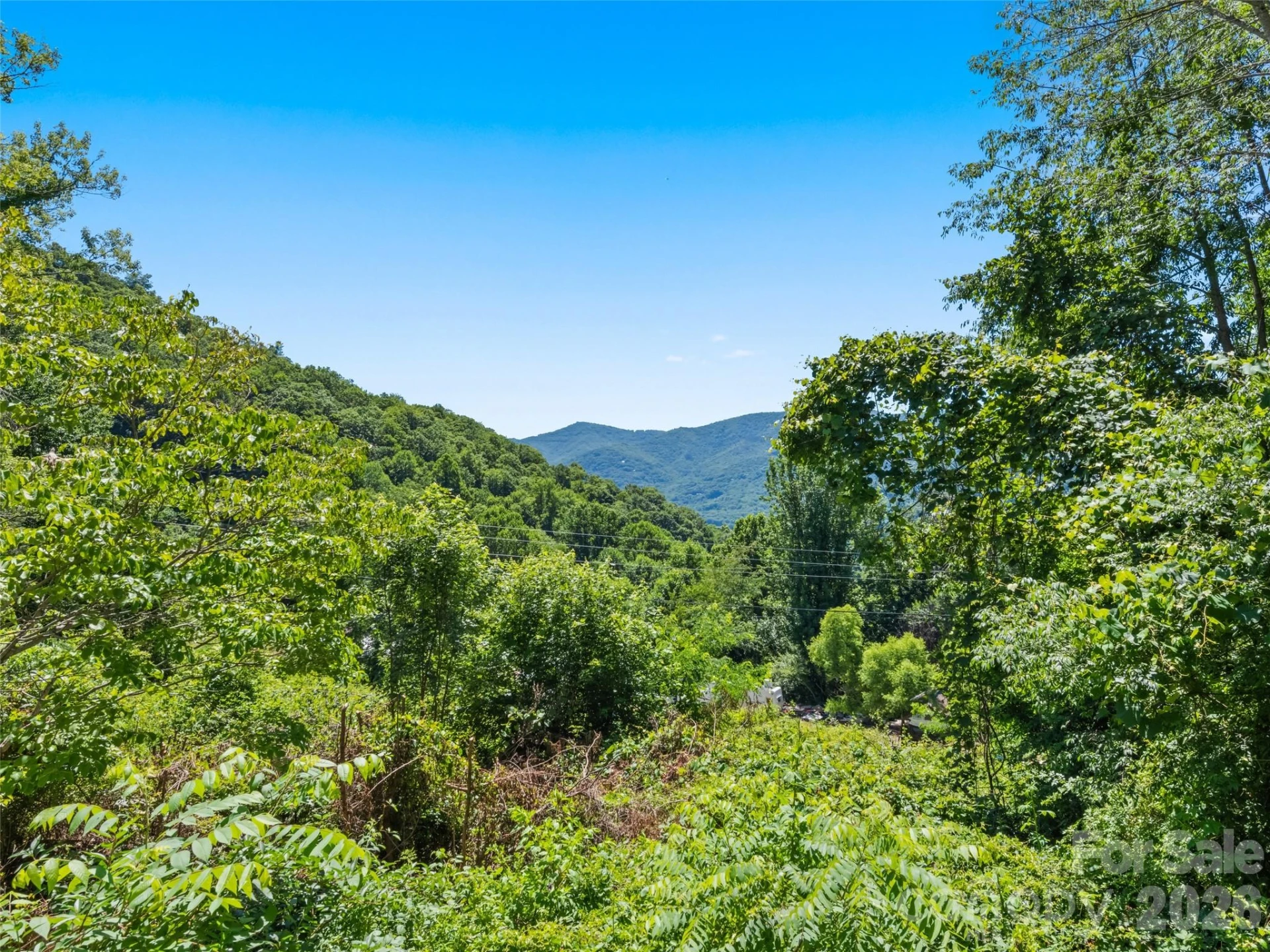 115 Slick Rock Ridge - Photo 16