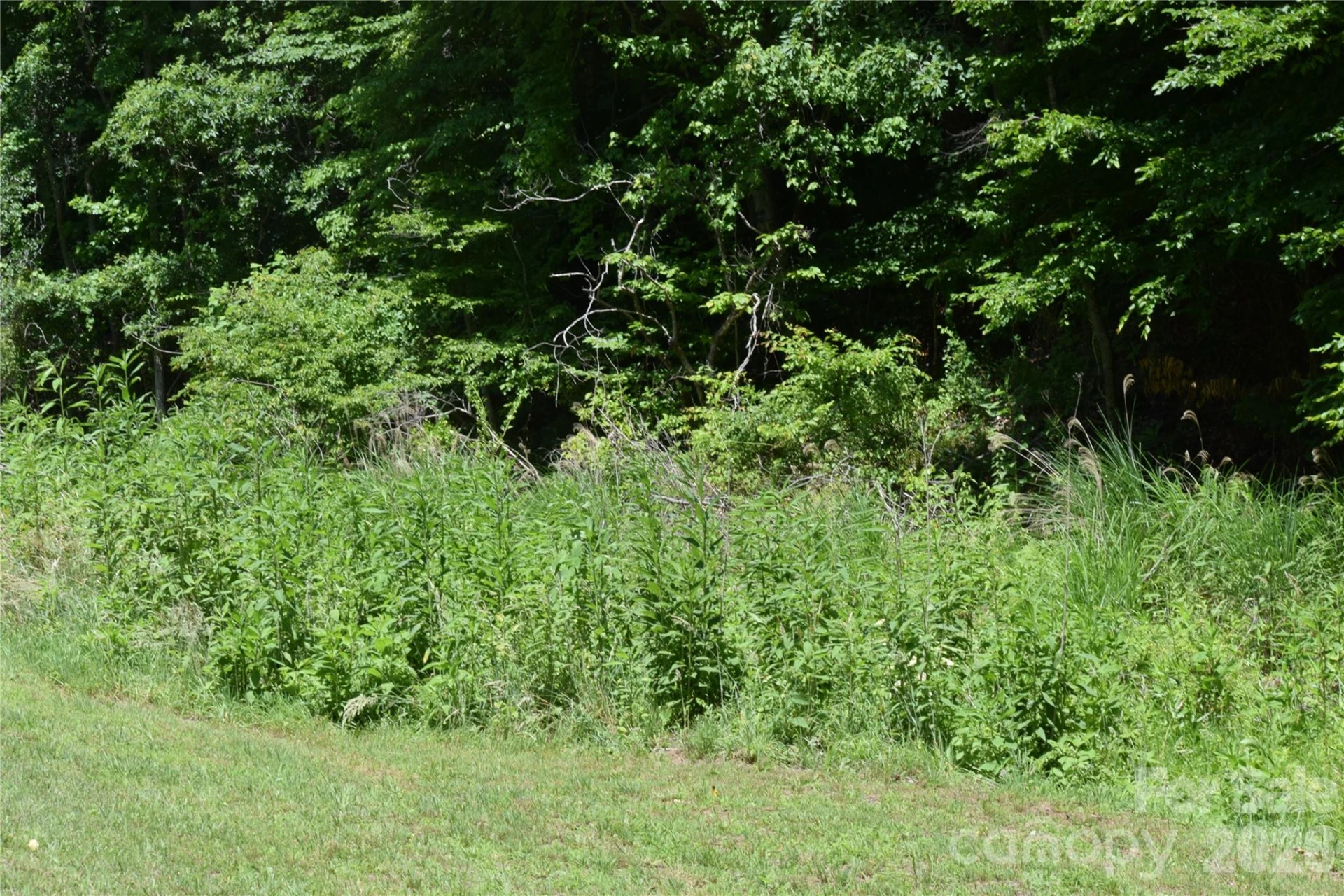 TBD Wooded Mountain Trail #Tracts 1 & 2 - Photo 22