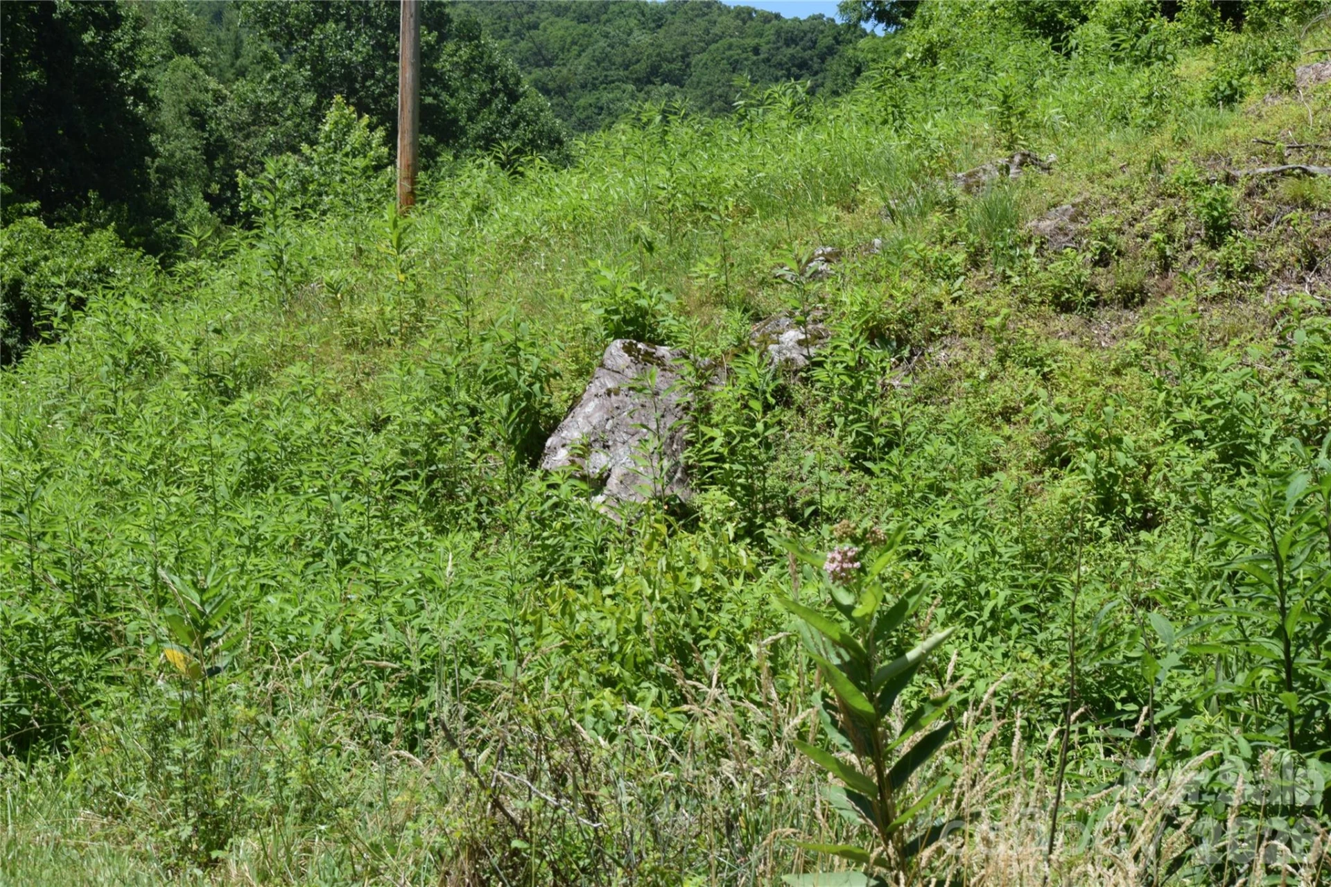 TBD Wooded Mountain Trail #Tracts 1 & 2 - Photo 23