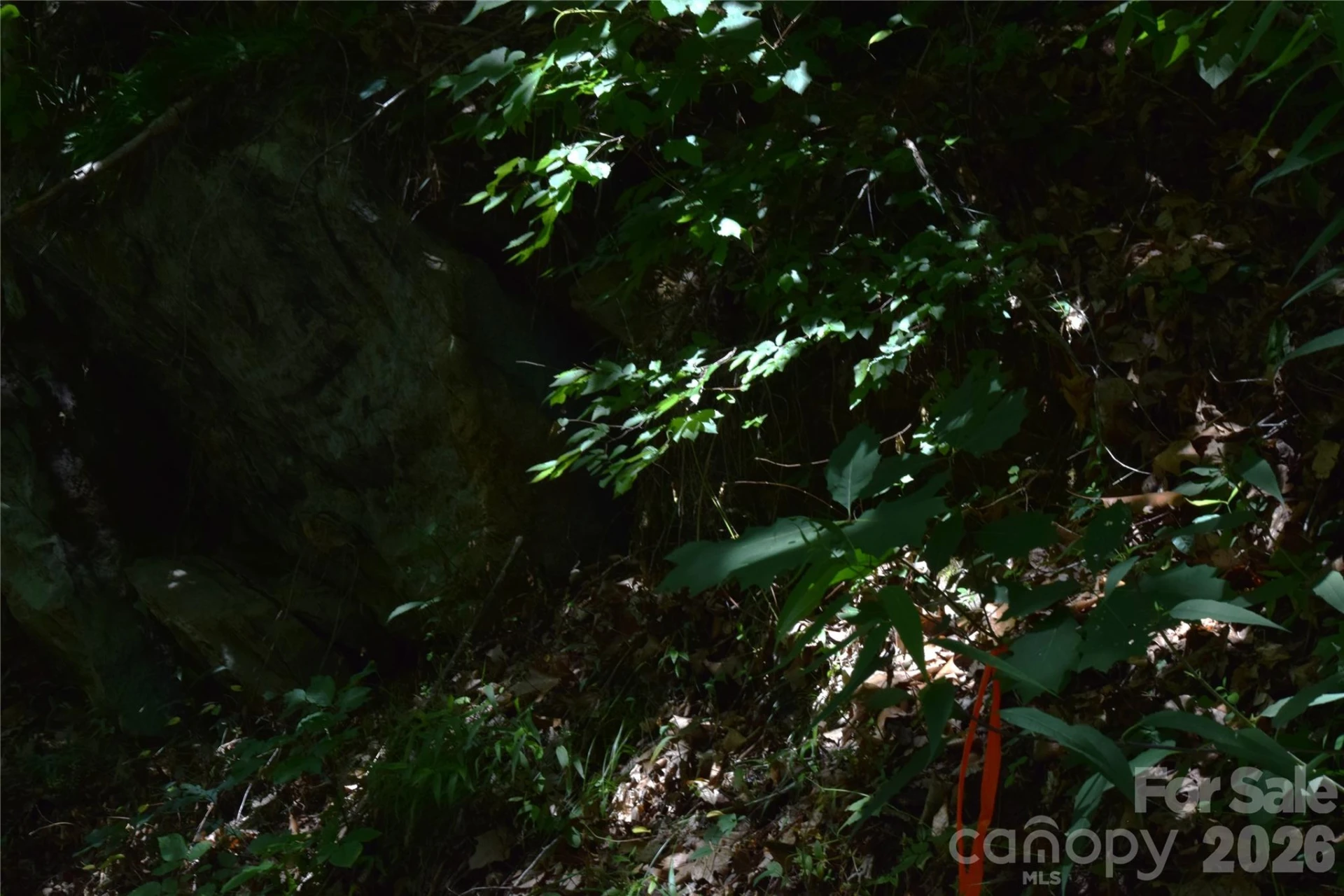 TBD Wooded Mountain Trail #Tracts 1 & 2 - Photo 24