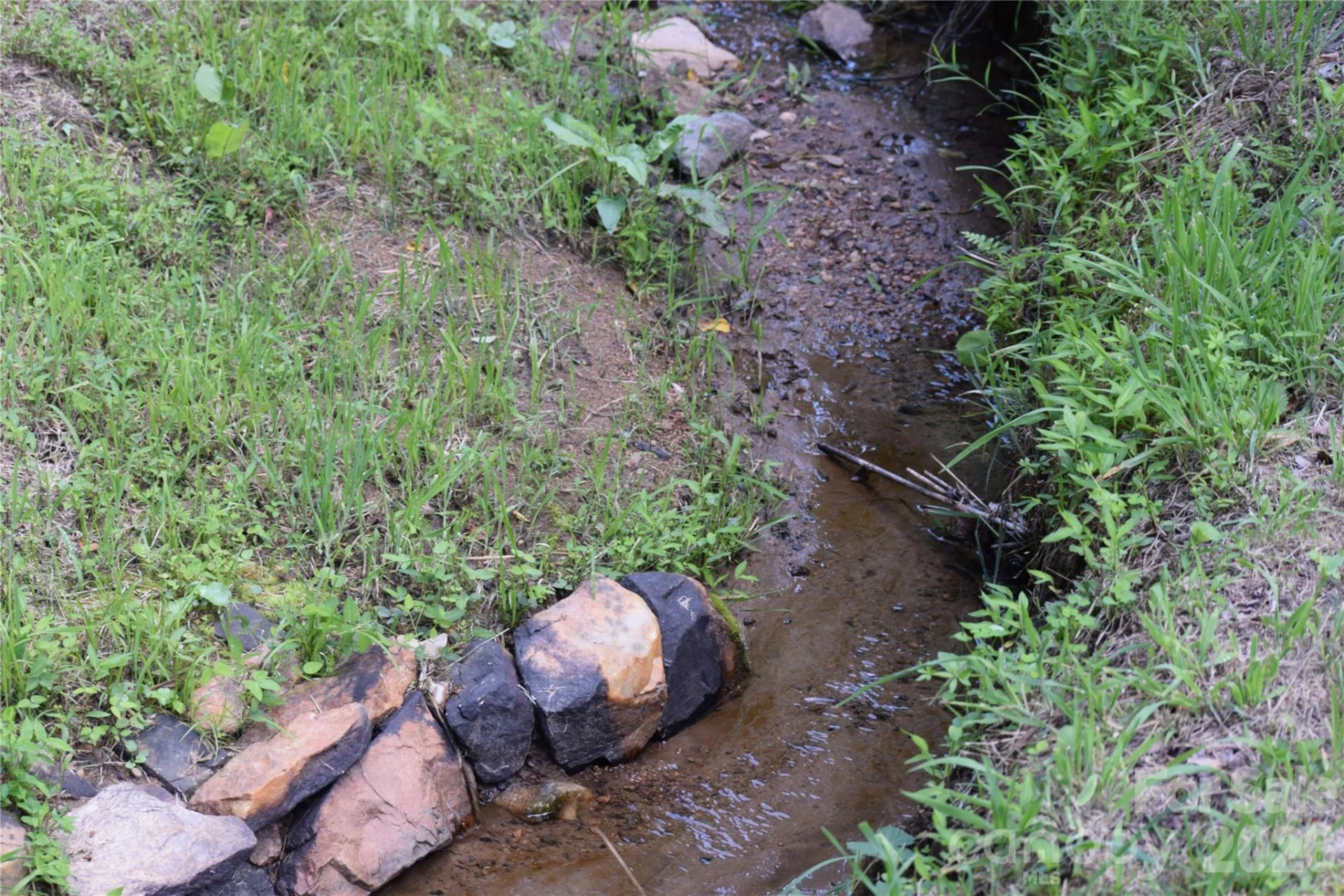 TBD Wooded Mountain Trail #Tracts 1 & 2 - Photo 10