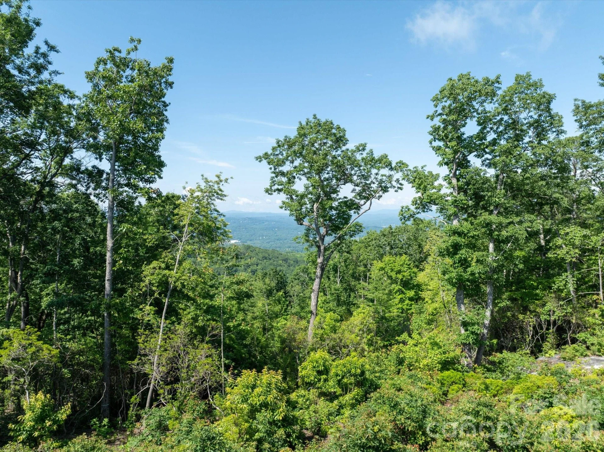 99999 Mountain Grove Lane #48 - Photo 2
