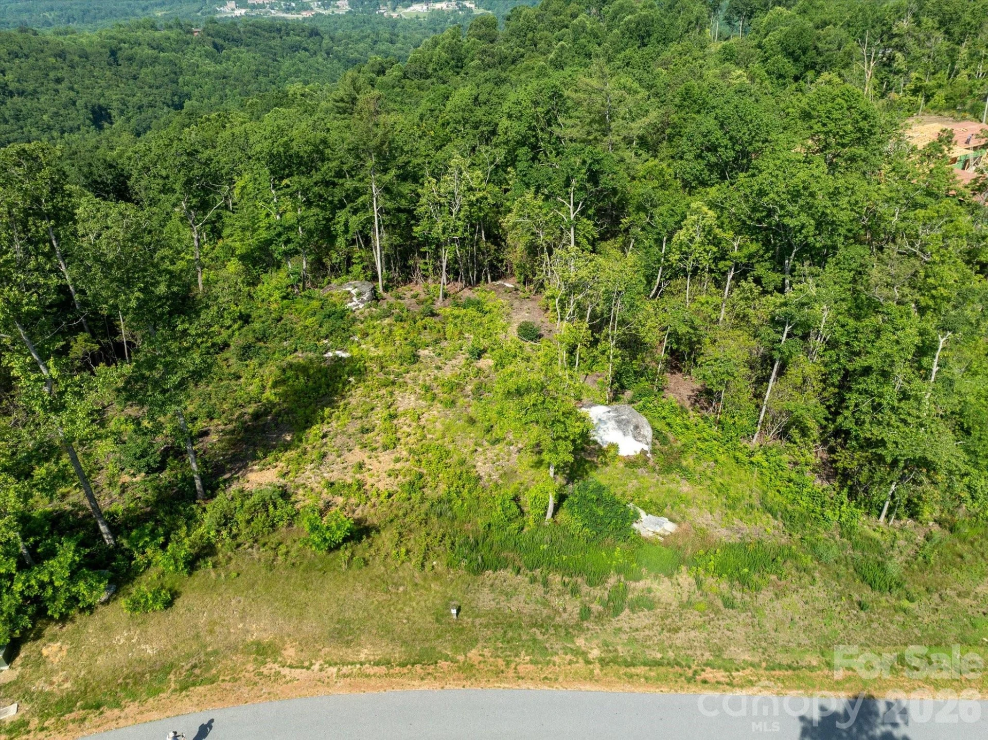99999 Mountain Grove Lane #48 - Photo 15