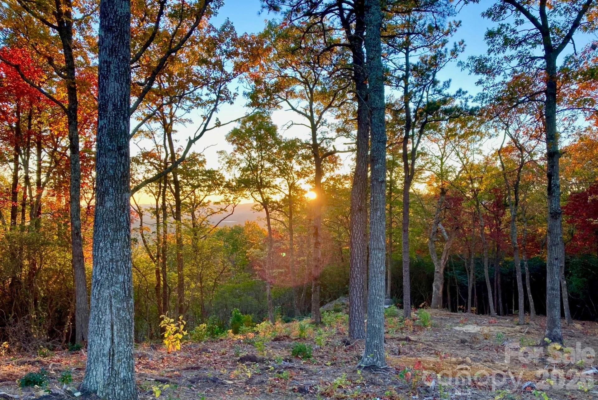 99999 Mountain Grove Lane #48 - Photo 3