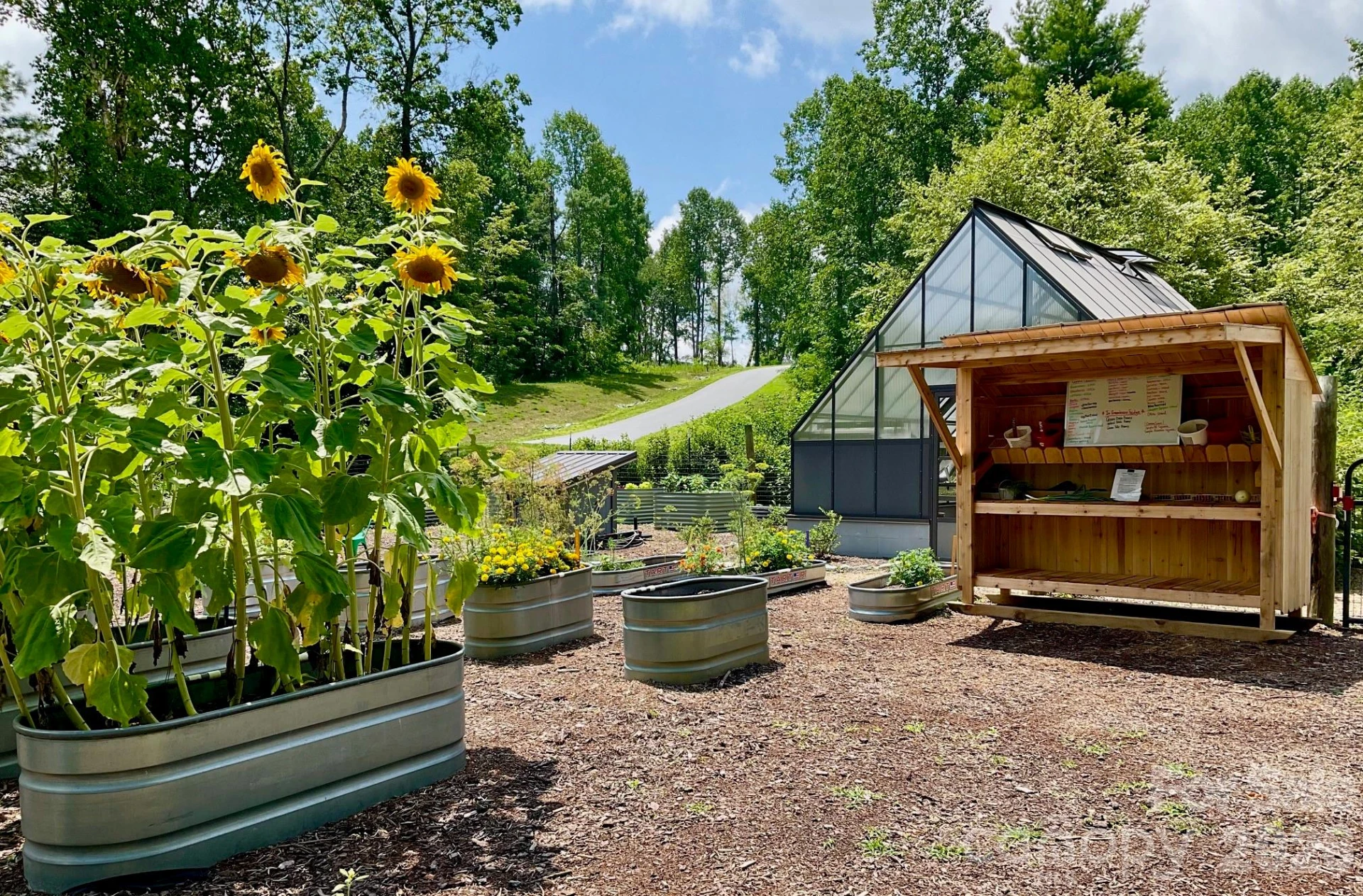 99999 Mountain Grove Lane #48 - Photo 25