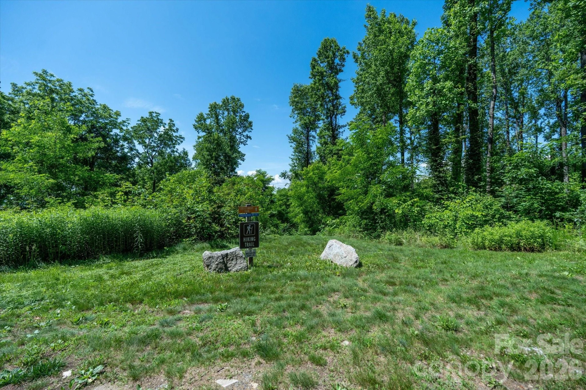 99999 Mountain Grove Lane #48 - Photo 30