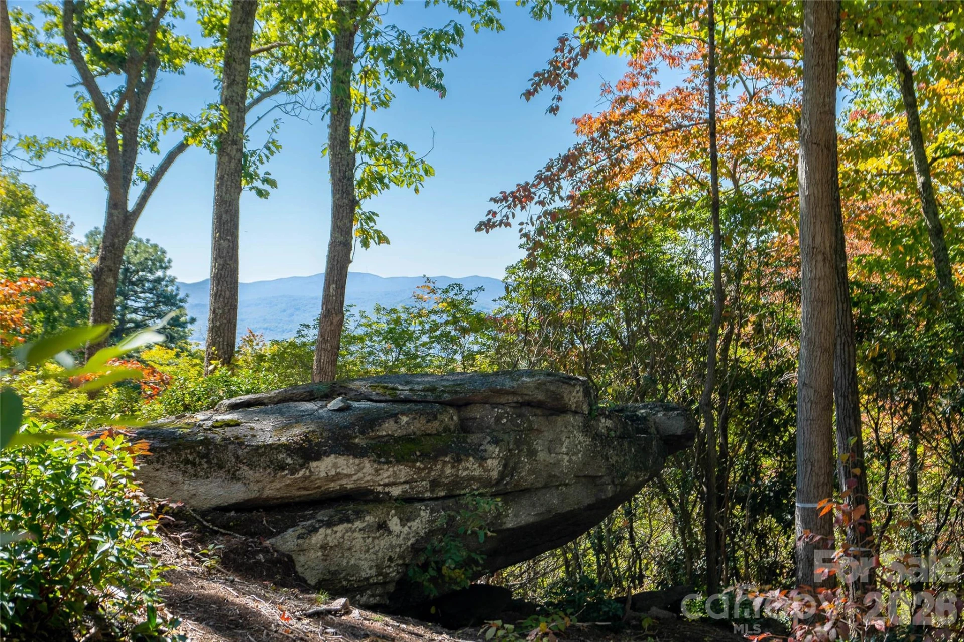 99999 Mountain Grove Lane #48 - Photo 6