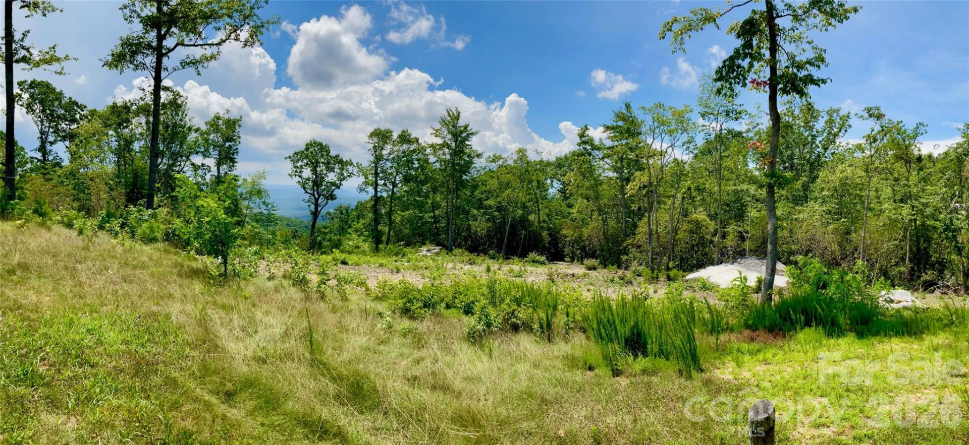 99999 Mountain Grove Lane #48 - Photo 8