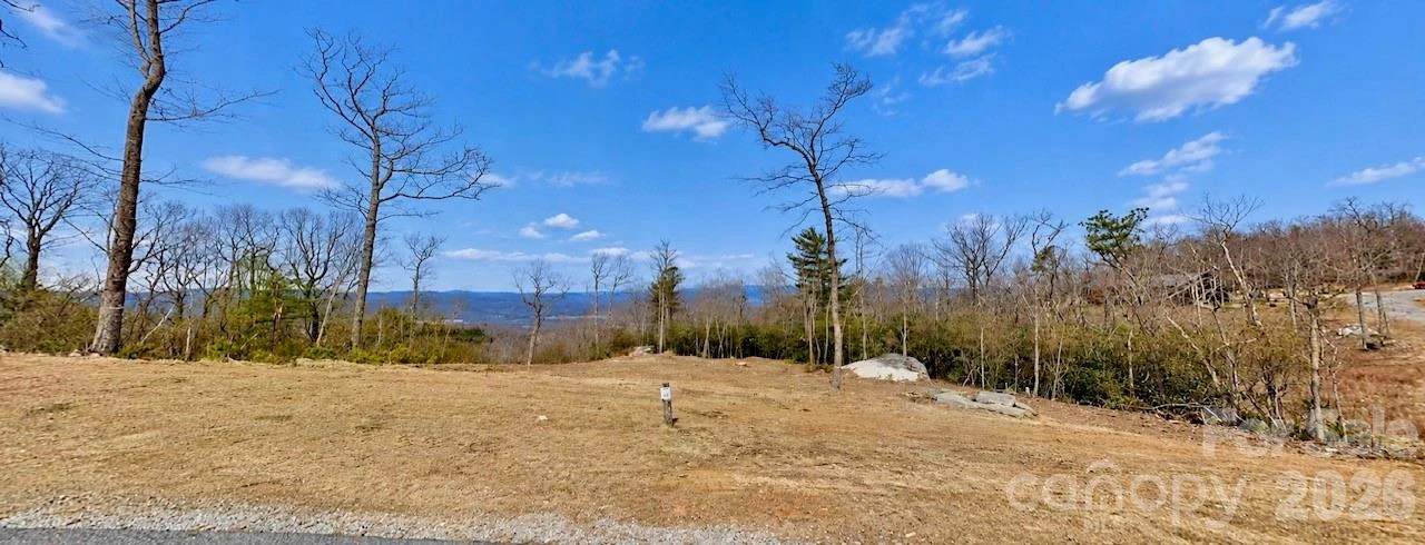 99999 Mountain Grove Lane #48 - Photo 5