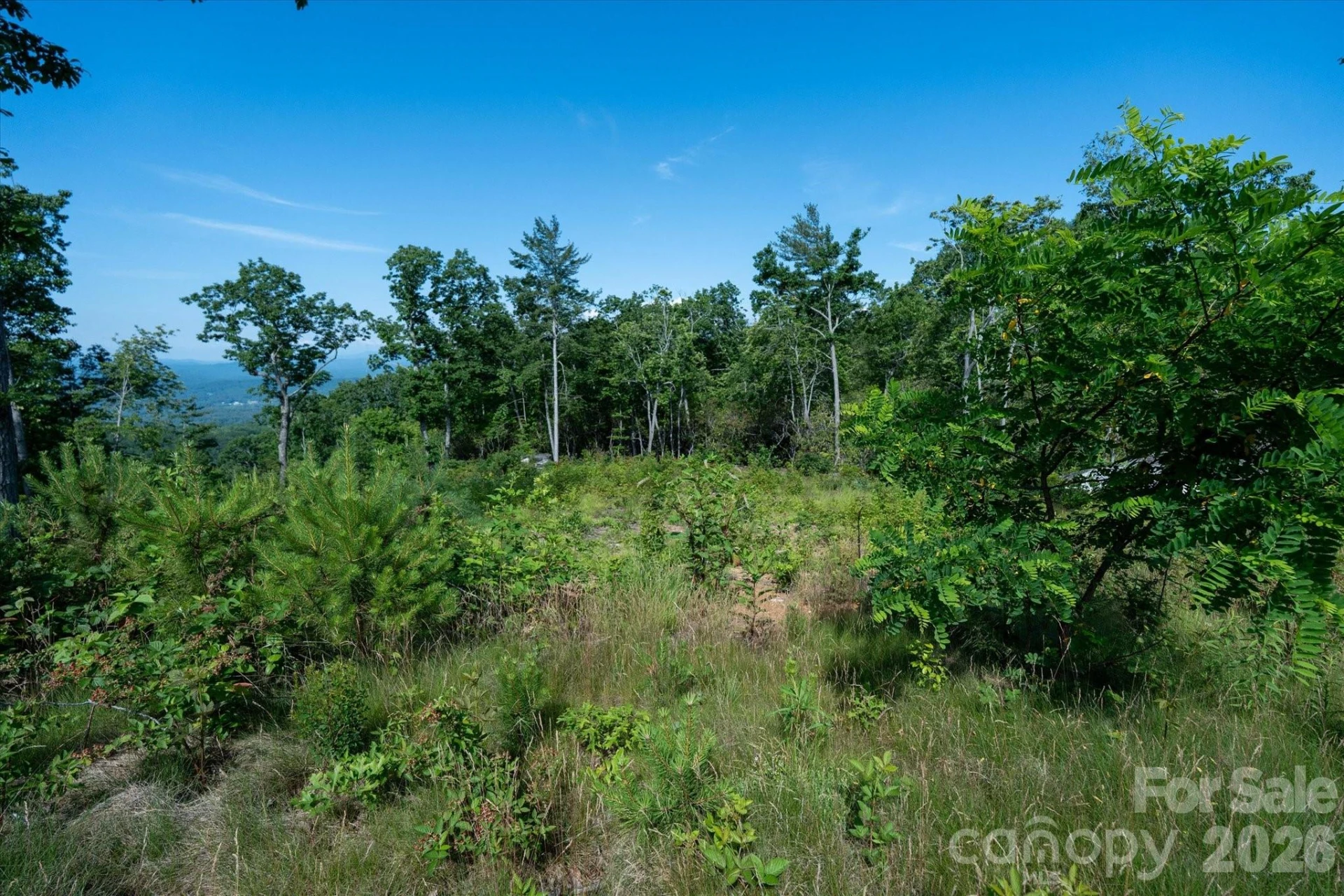 99999 Mountain Grove Lane #48 - Photo 12