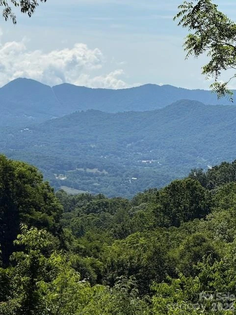 #38 Sleepy Hollow Drive - Photo 2
