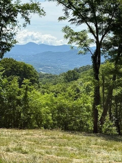 #38 Sleepy Hollow Drive - Photo 11