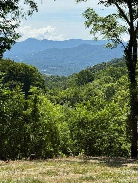 #38 Sleepy Hollow Drive - Photo 3