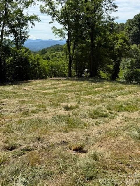 #38 Sleepy Hollow Drive - Photo 10