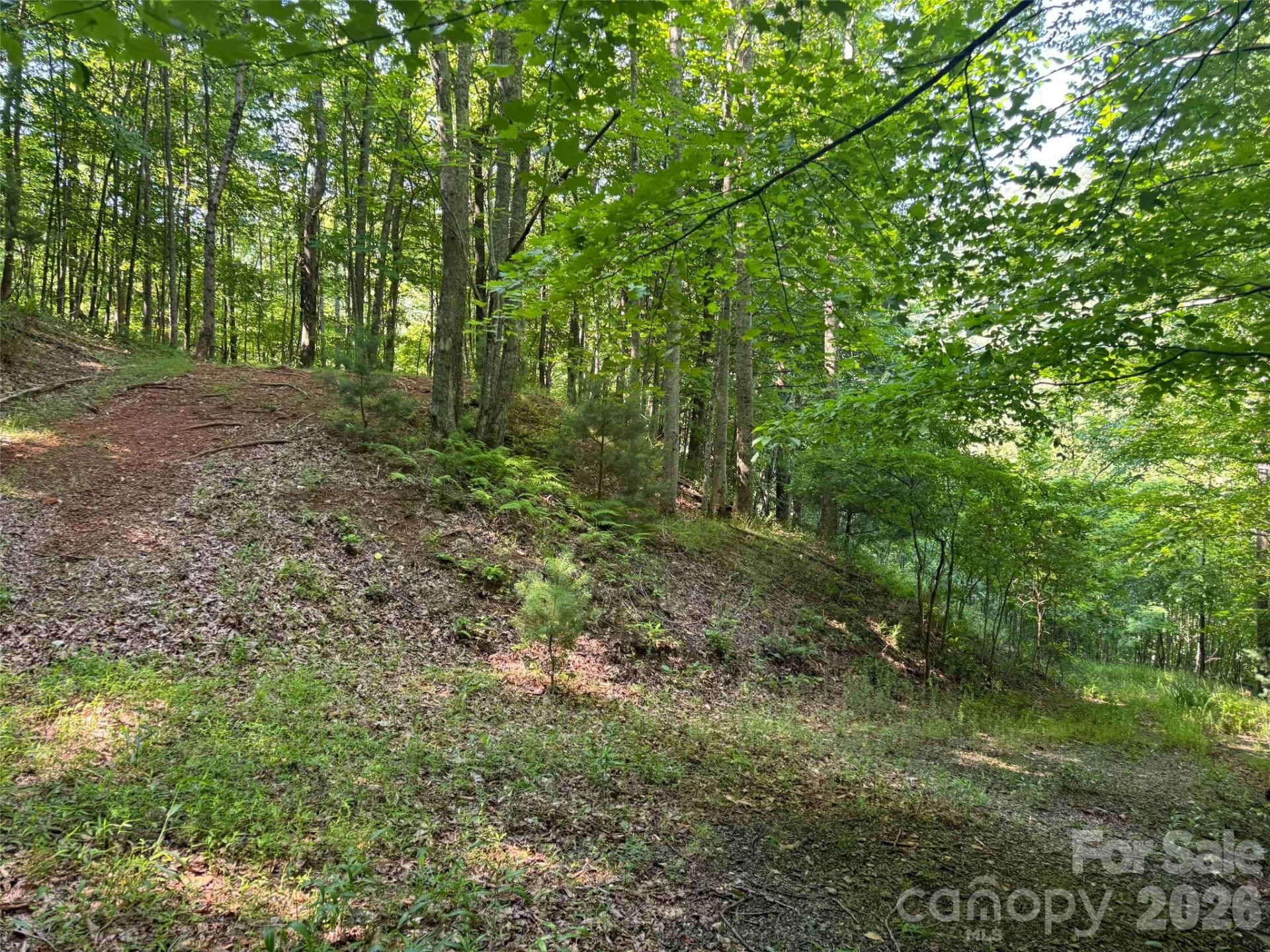 856 Stoney Stream Lane #146 & 147 - Photo 3