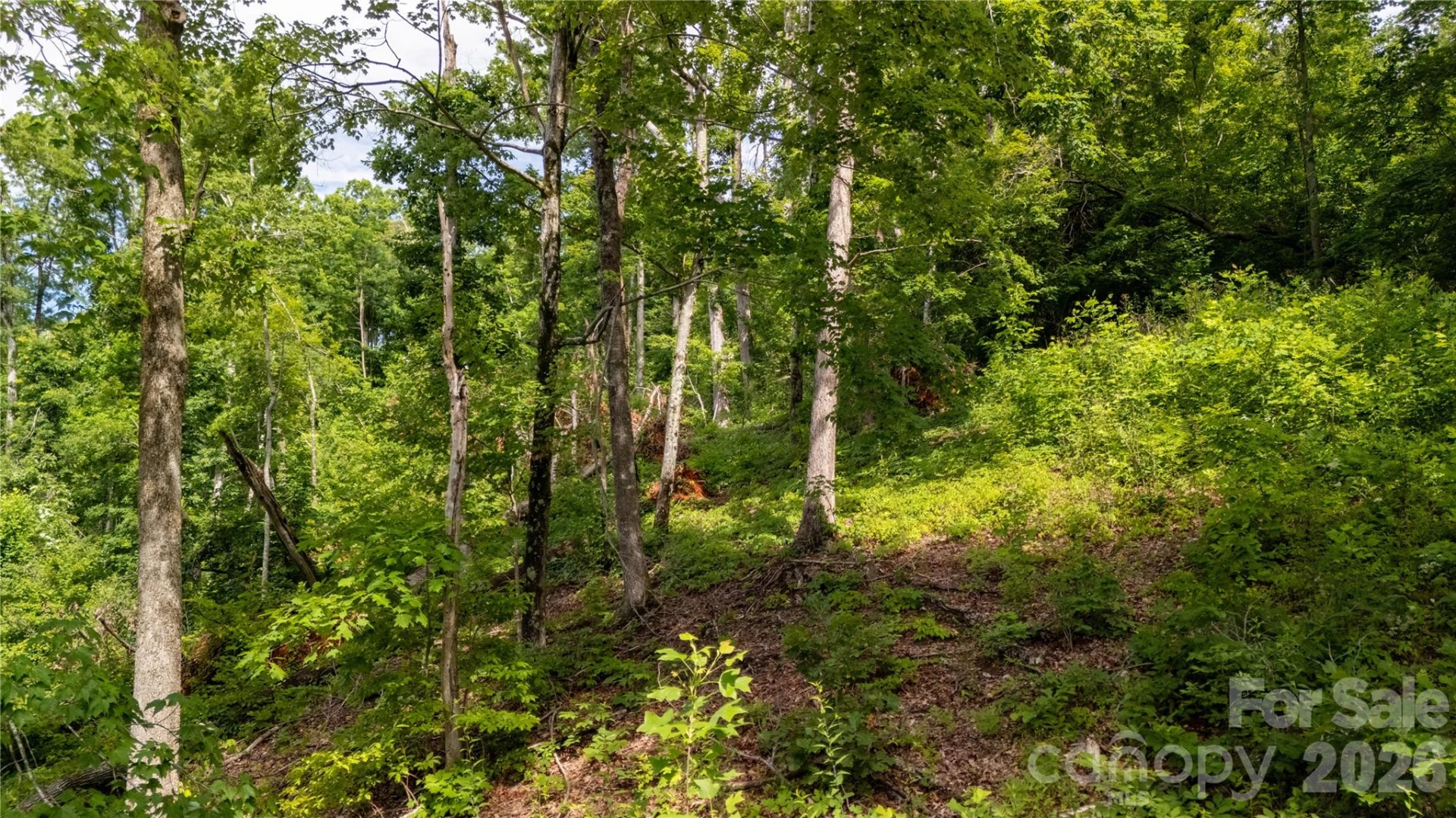 Lot 146 Shire Lane #146 - Photo 3
