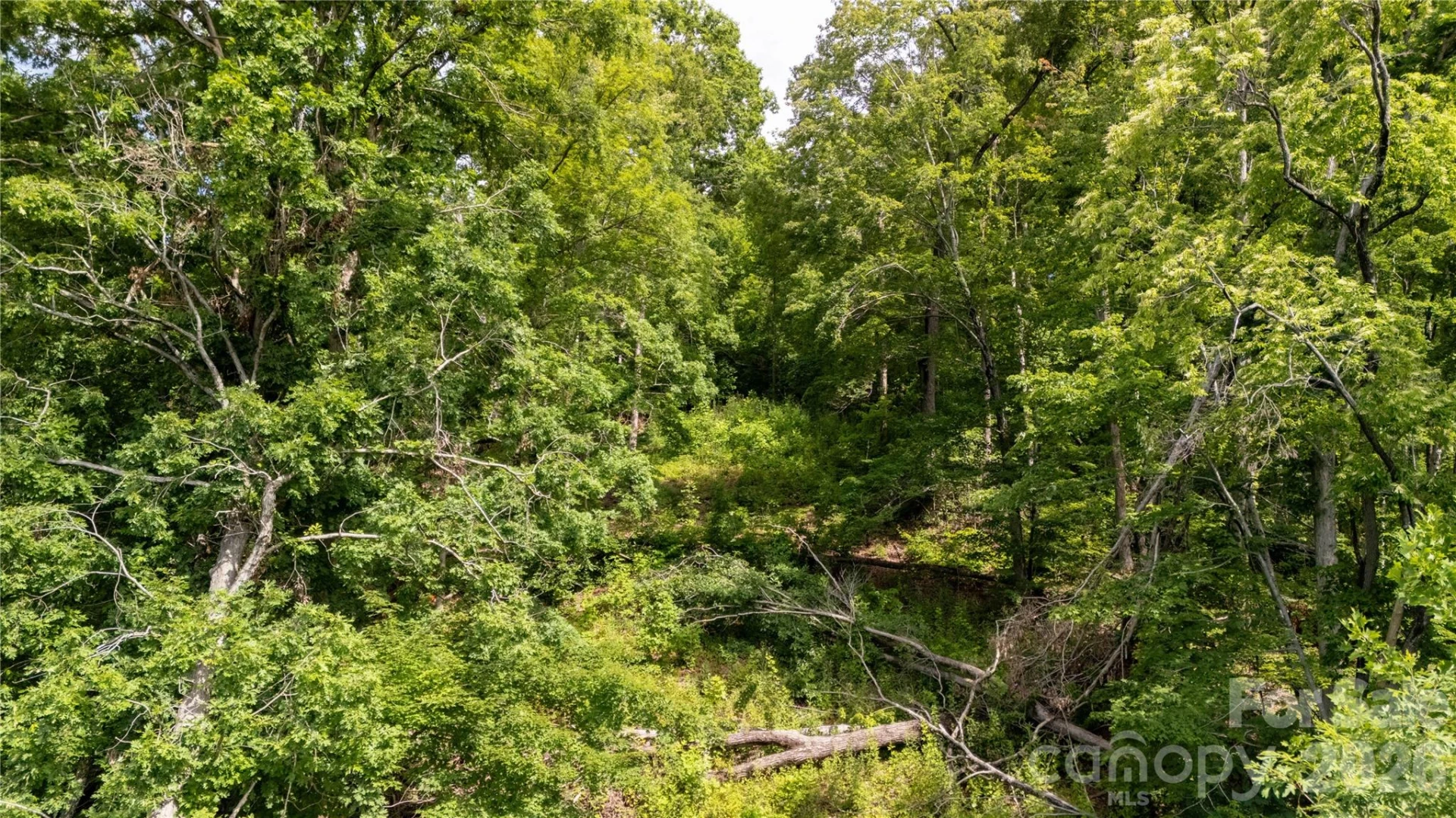 Lot 146 Shire Lane #146 - Photo 5