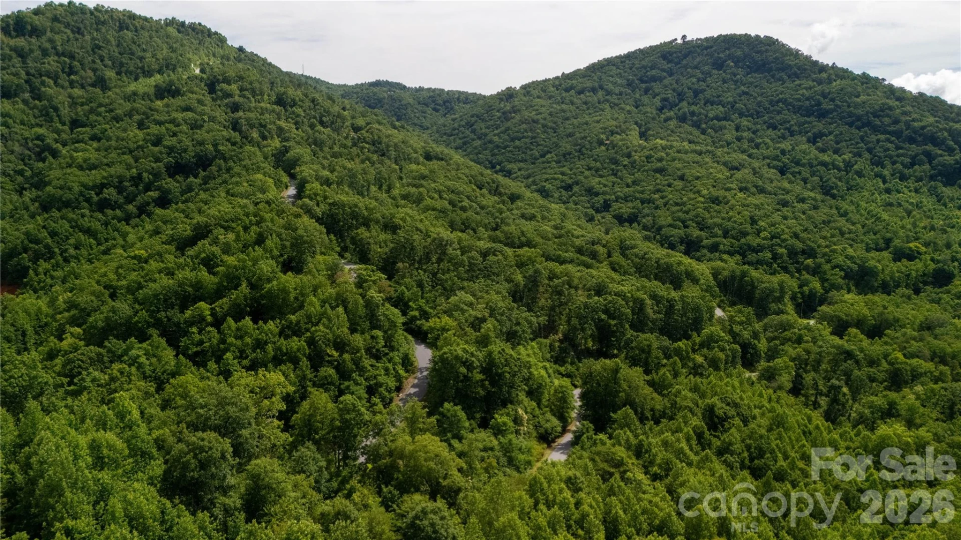 Lot 146 Shire Lane #146 - Photo 10