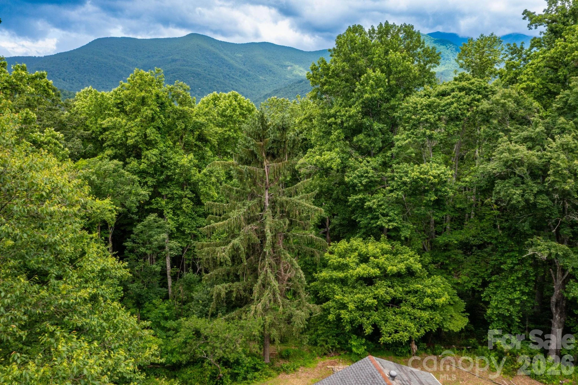 191 Walkertown Road - Photo 3