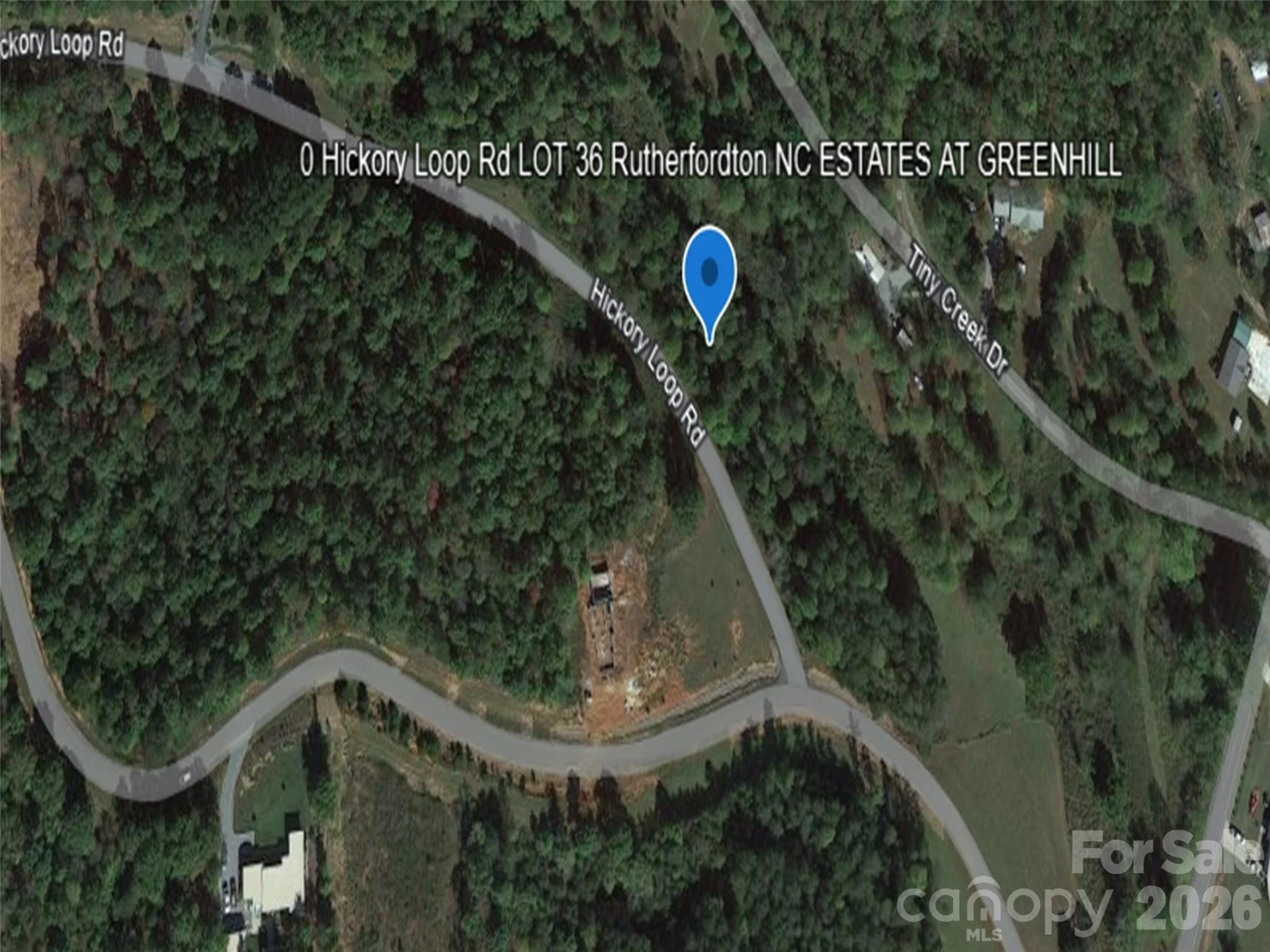 0 Hickory Loop Road #Lot 36 - Photo 3