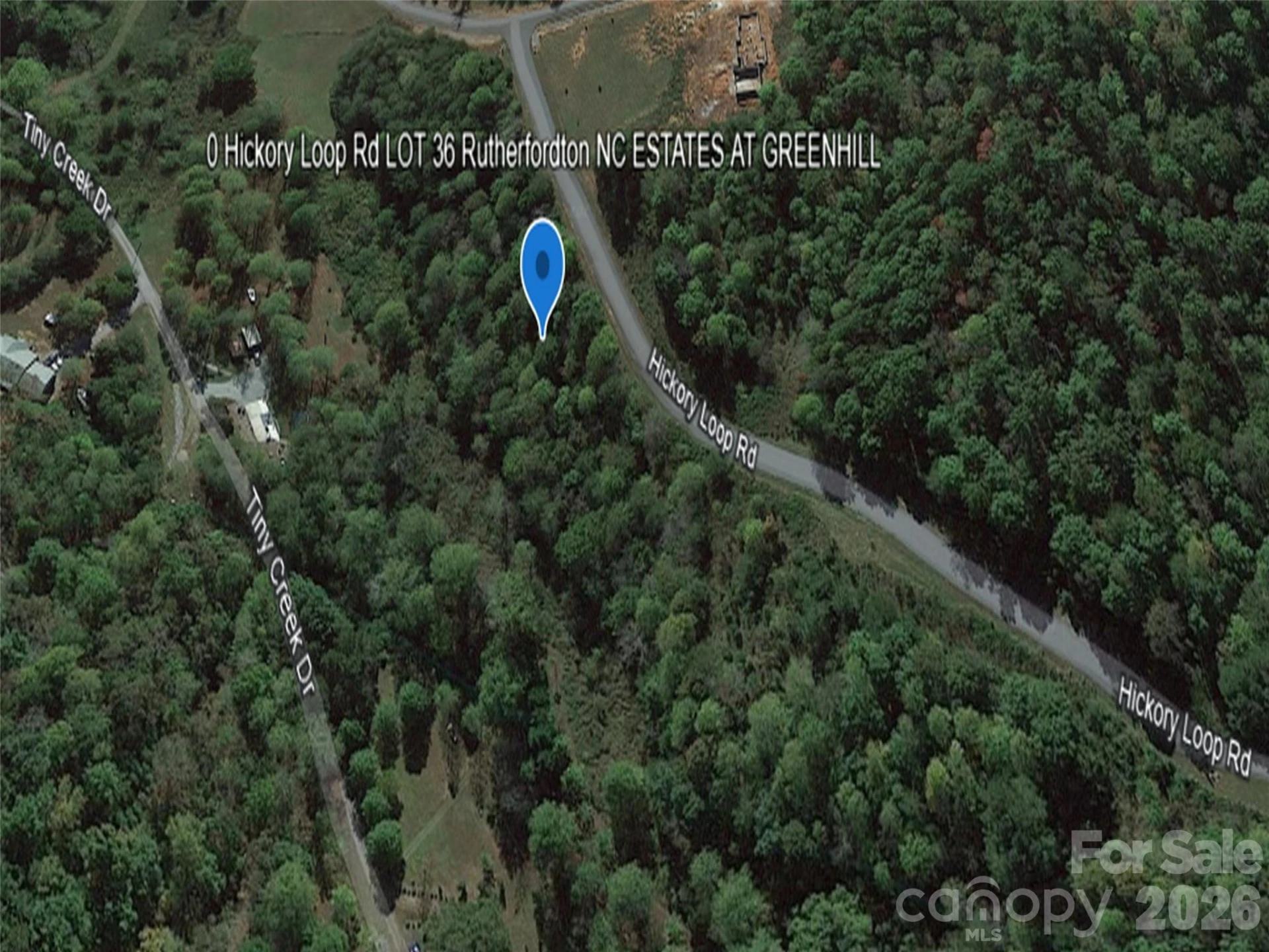 0 Hickory Loop Road #Lot 36 - Photo 5