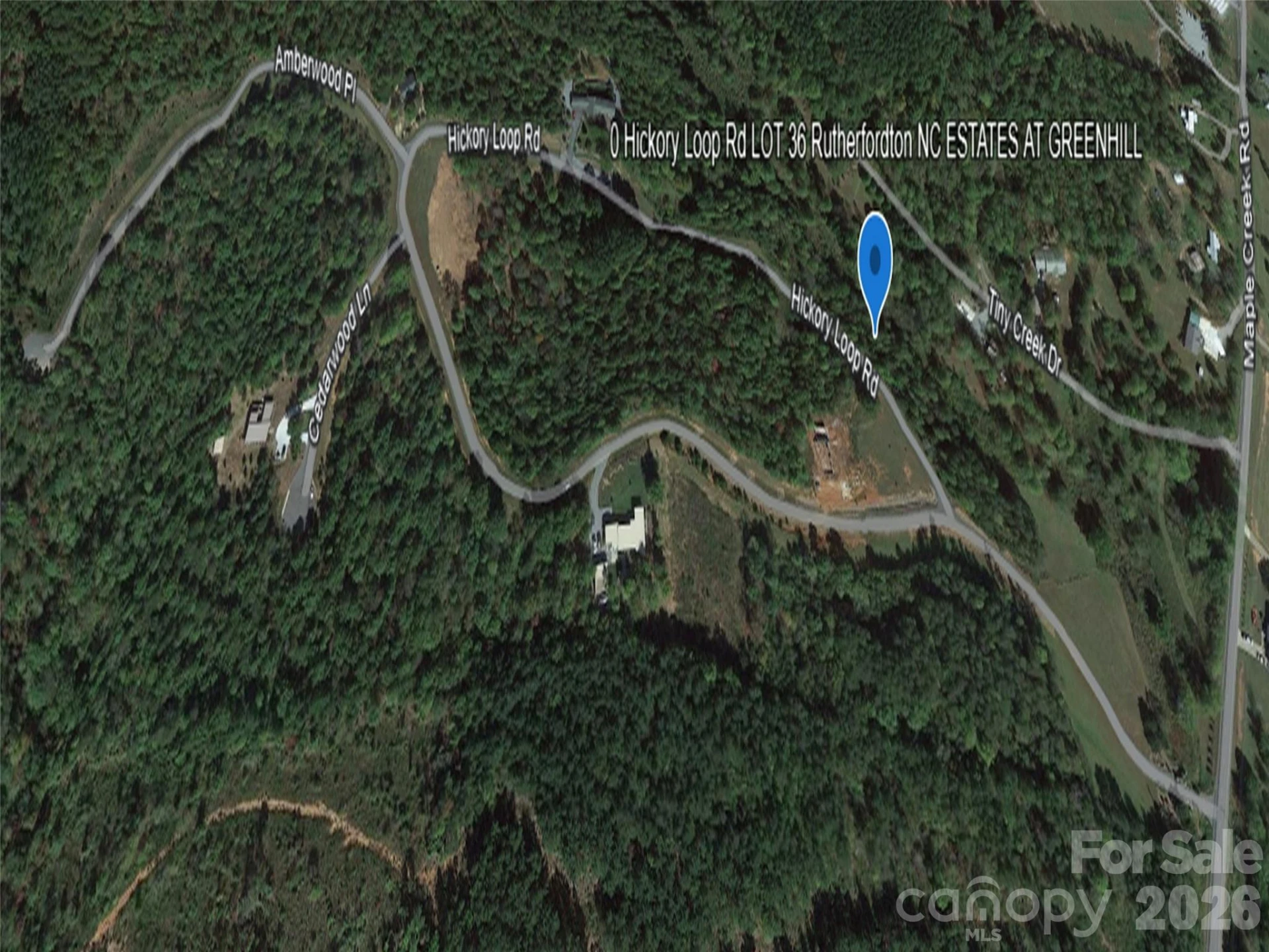 0 Hickory Loop Road #Lot 36 - Photo 6