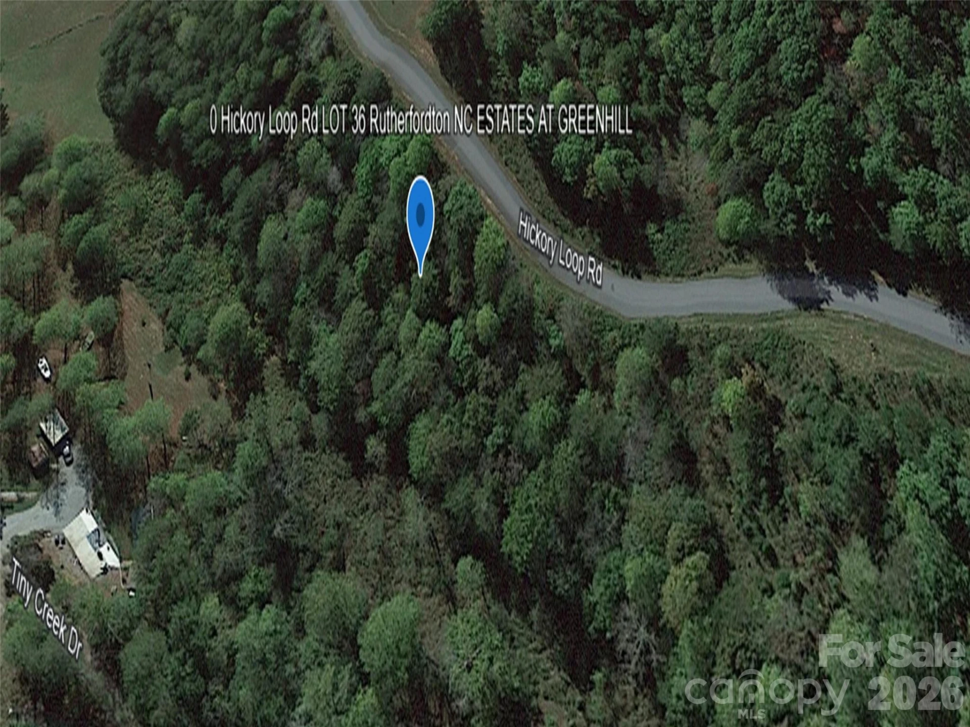 0 Hickory Loop Road #Lot 36 - Photo 8