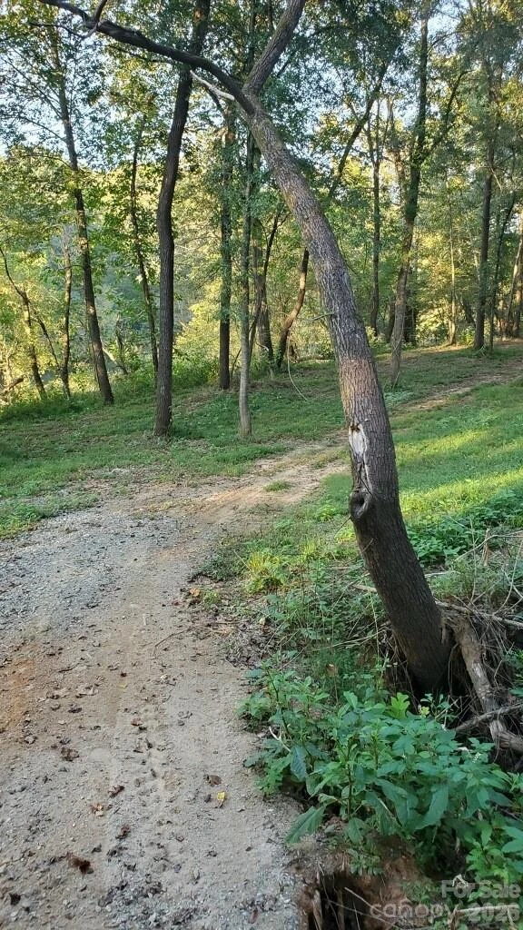 5371 US 221a Highway - Photo 4