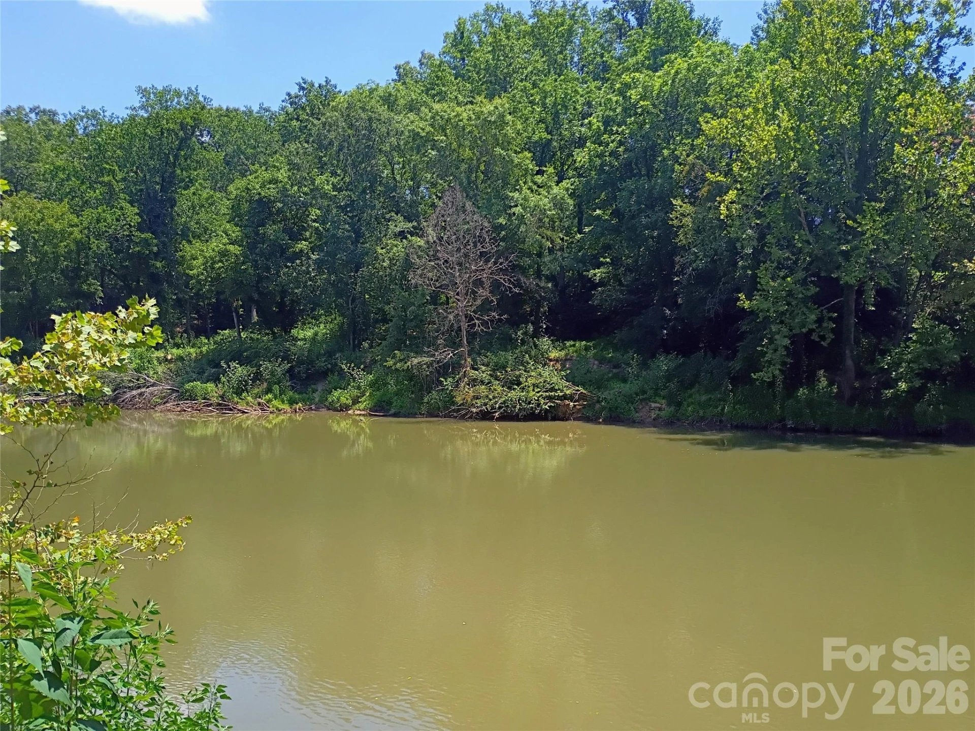 5371 US 221a Highway - Photo 9