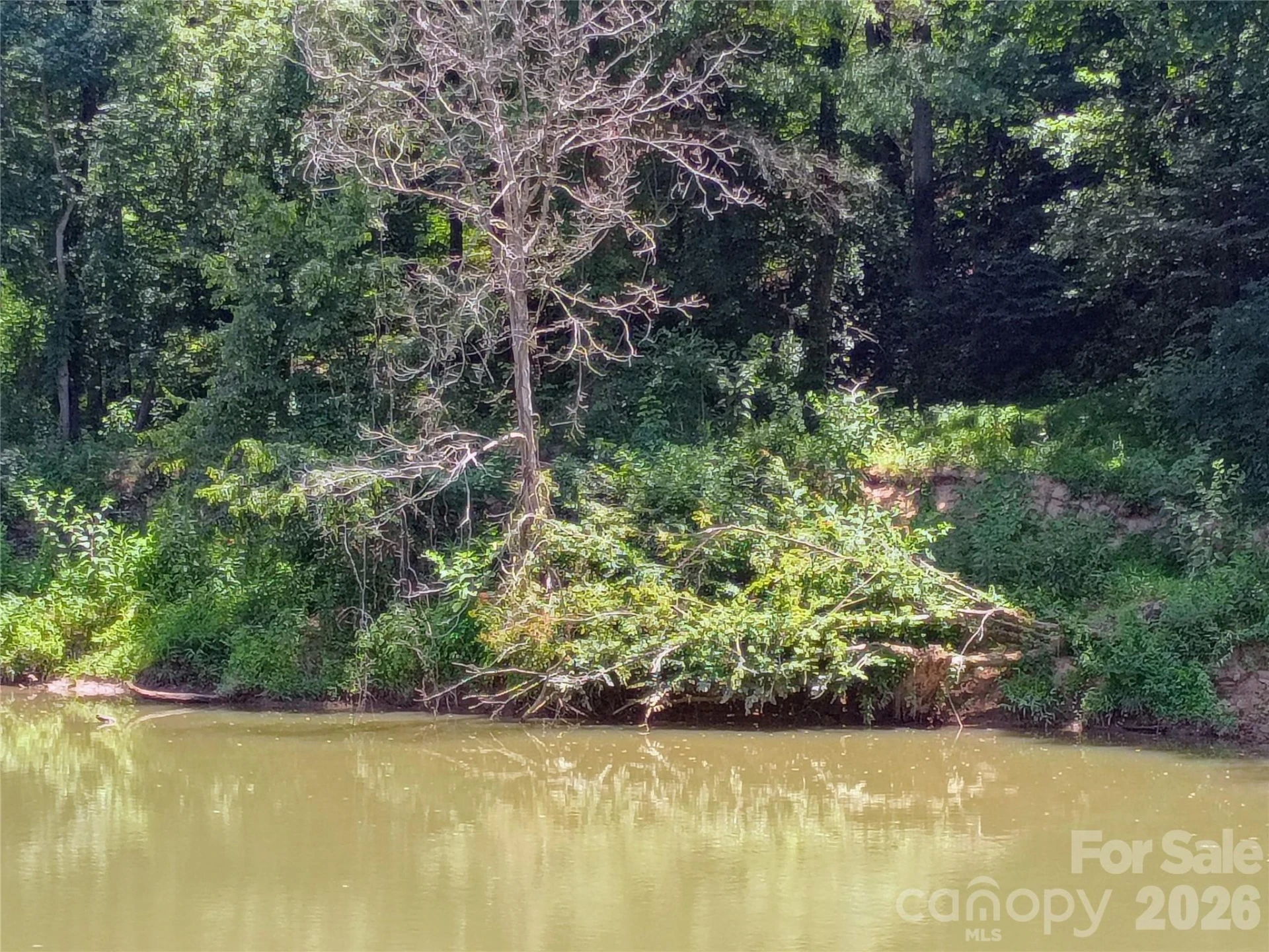5371 US 221a Highway - Photo 10