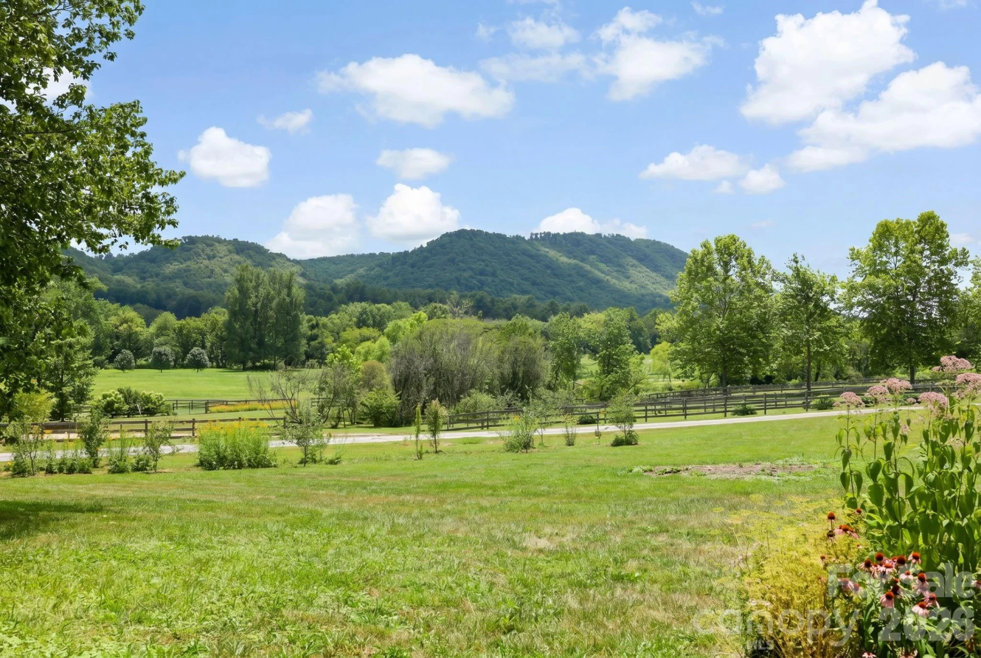 114 Cane Creek Ranch Drive - Photo 23