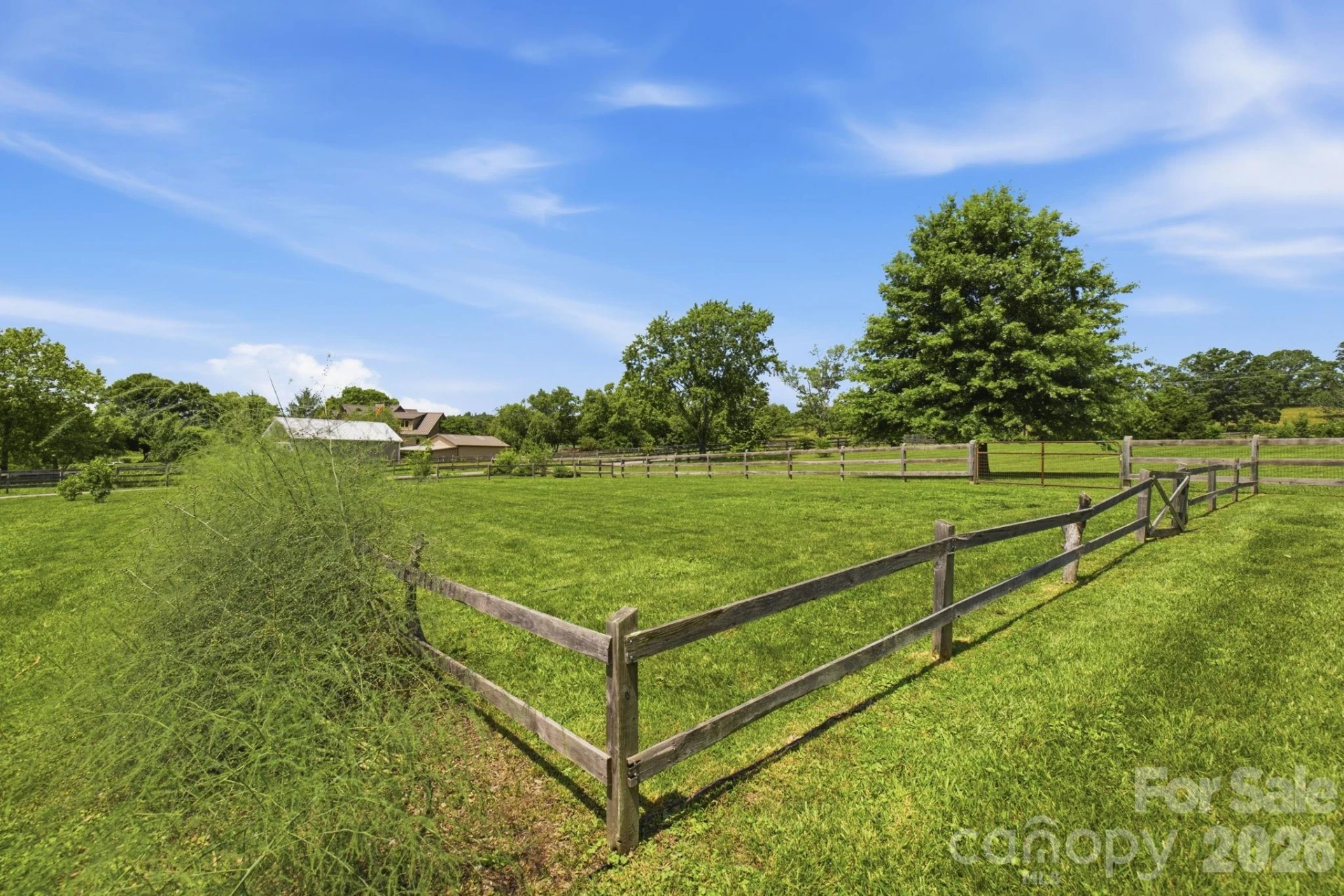 114 Cane Creek Ranch Drive - Photo 33