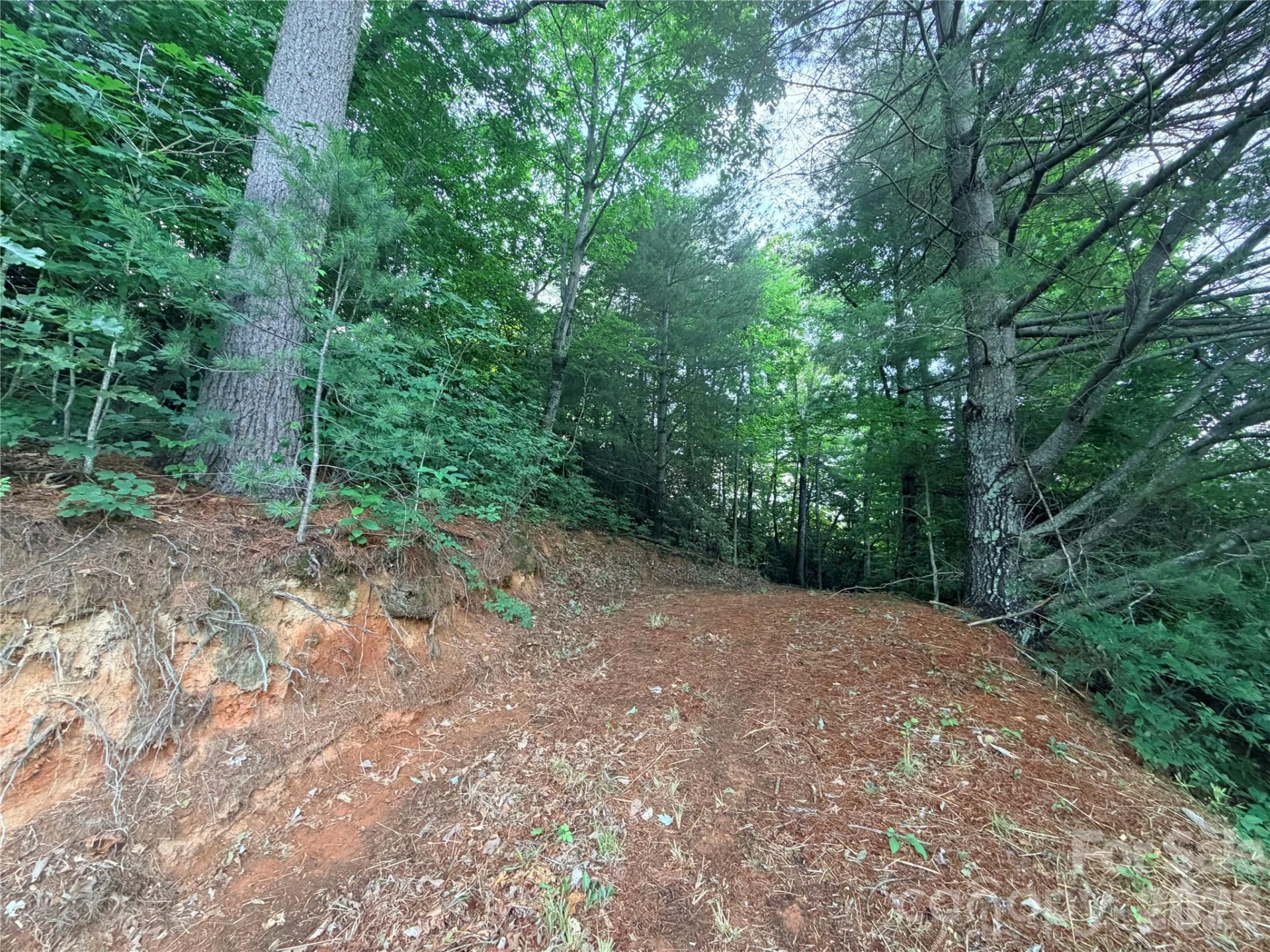 0 Silverglen Way #53 - Photo 3