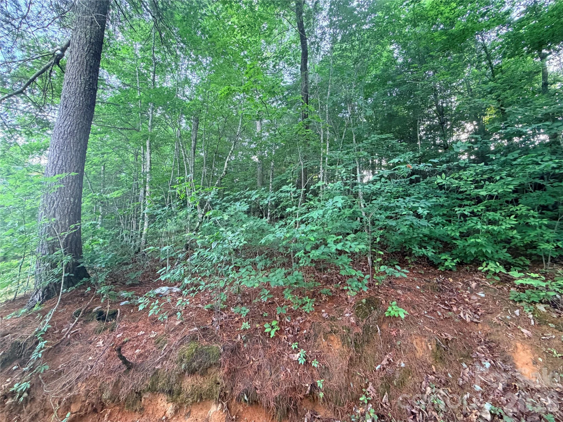 0 Silverglen Way #53 - Photo 4