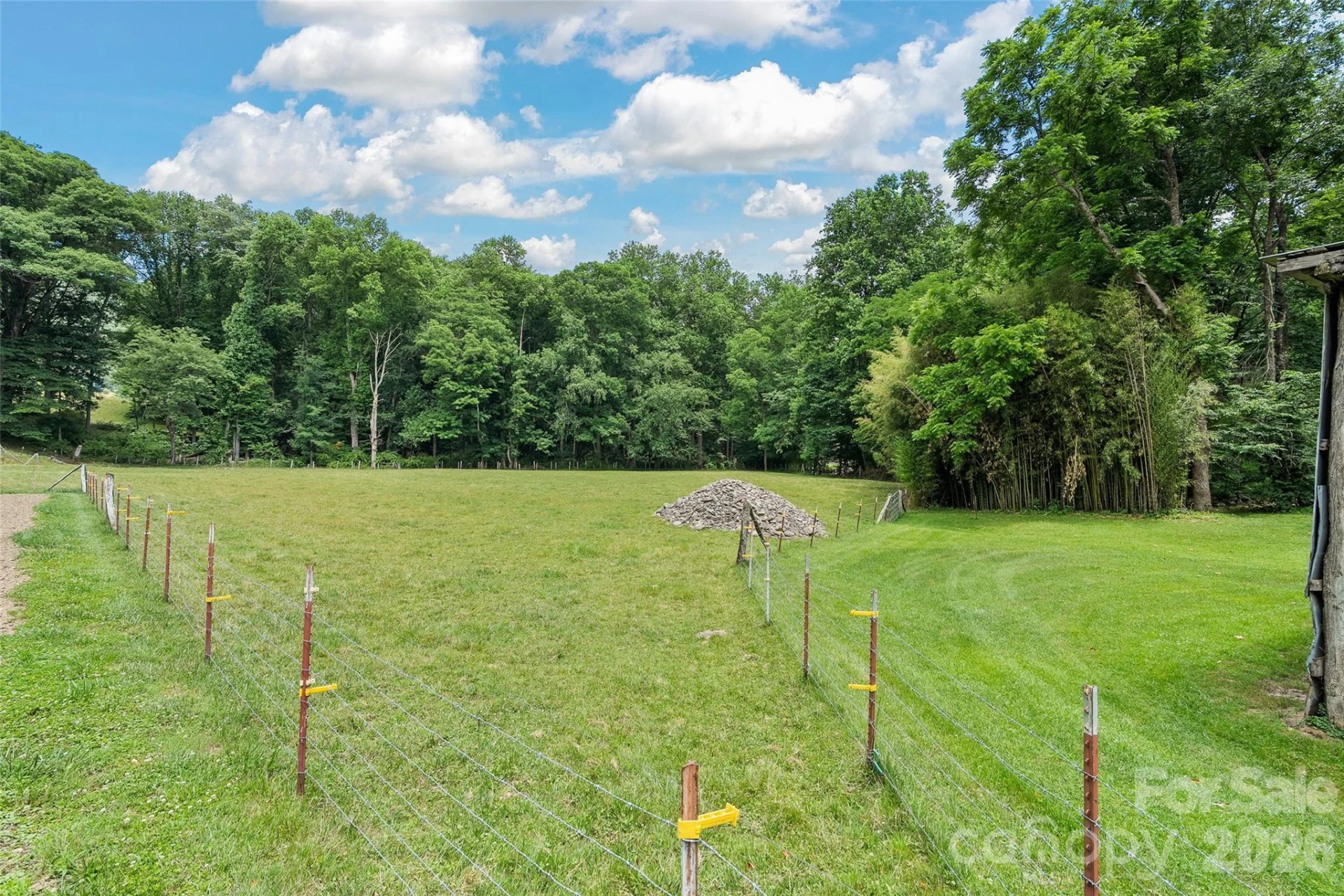 Tract 3 & 4 Badd Lane - Photo 2