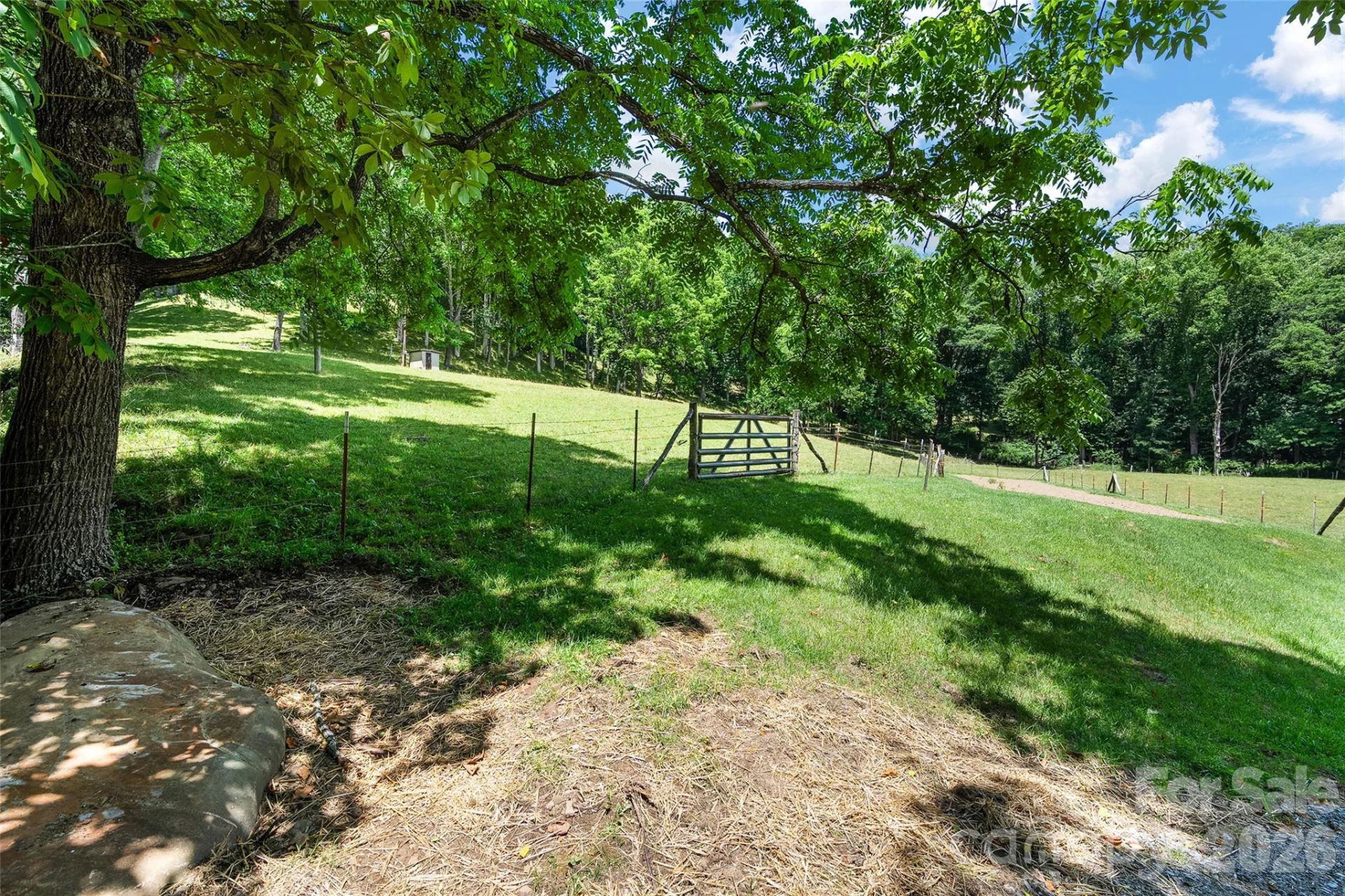Tract 3 & 4 Badd Lane - Photo 13