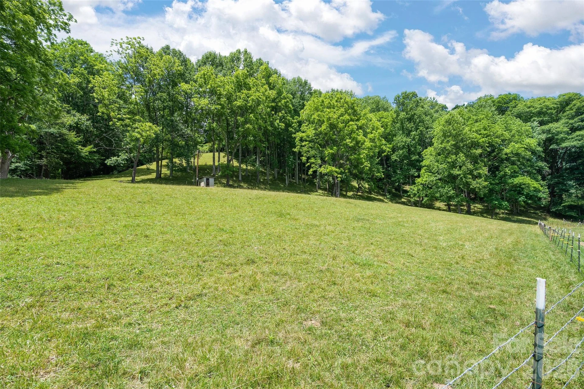 Tract 3 & 4 Badd Lane - Photo 14