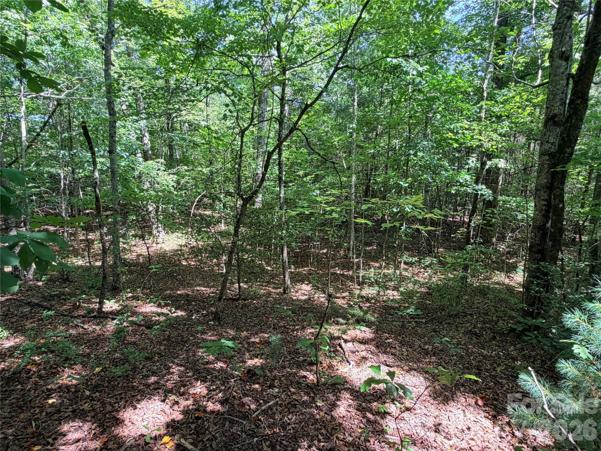 00 Grassy Knob Road #5 - Photo 3