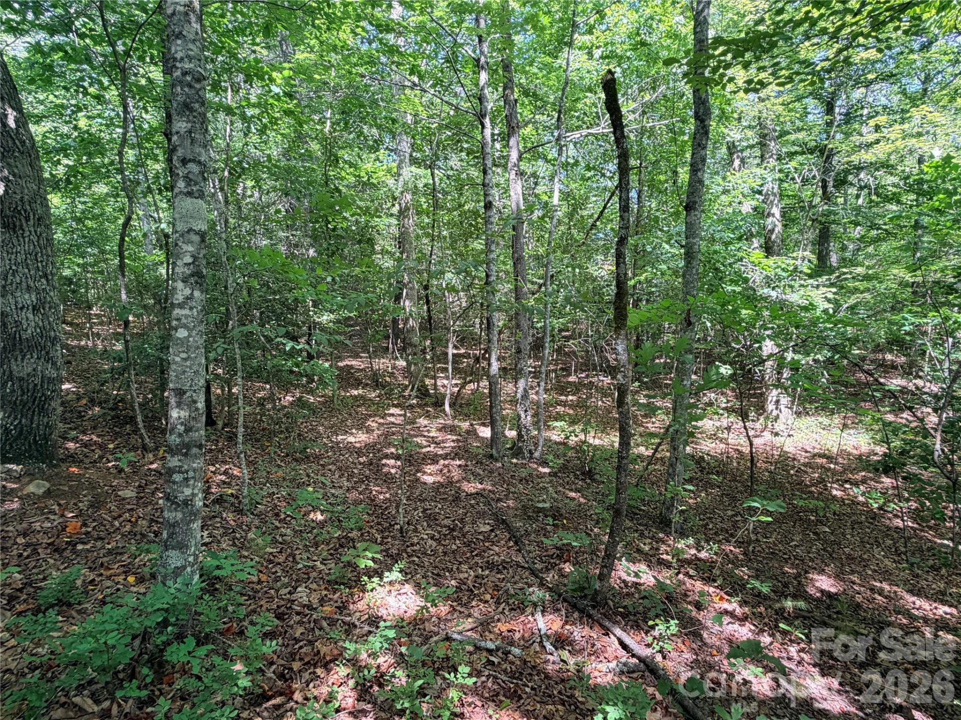 00 Grassy Knob Road #5 - Photo 4